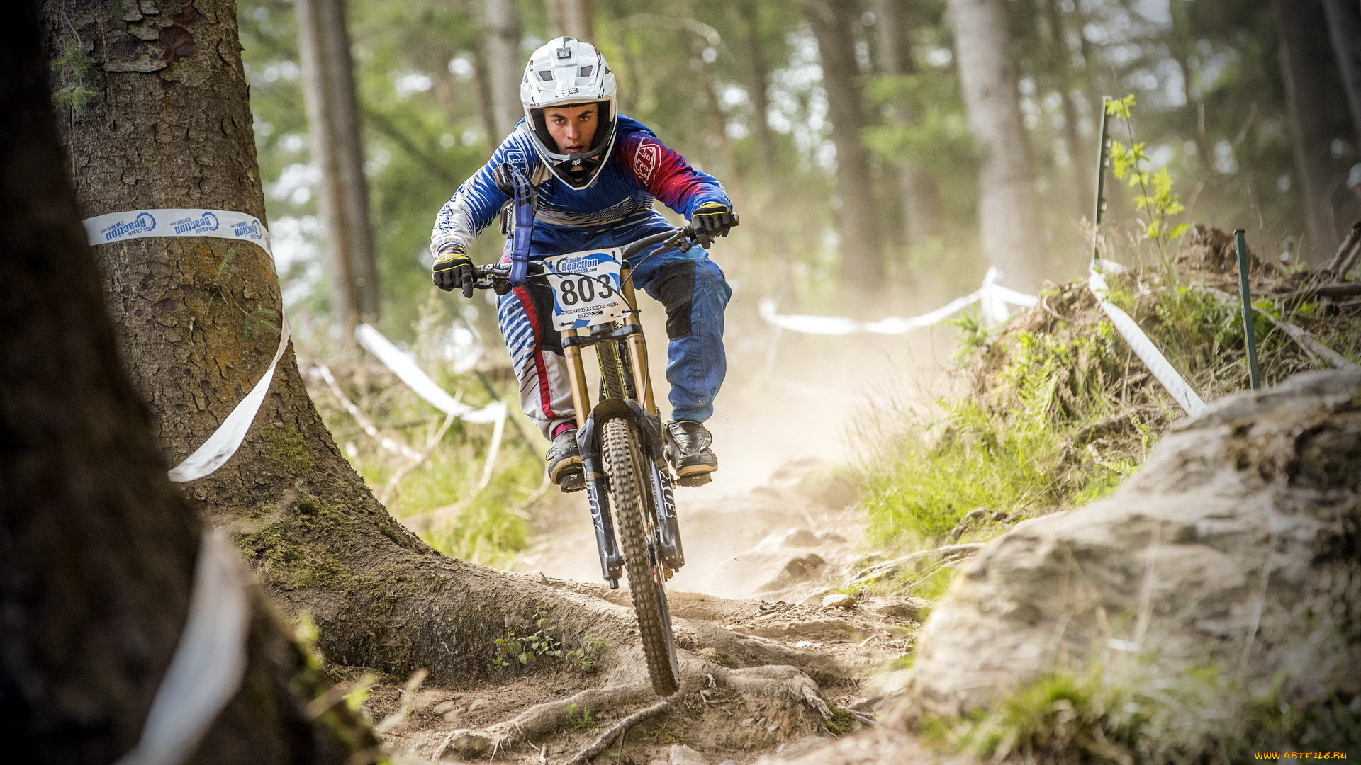 спорт, велоспорт, лес, велосипед