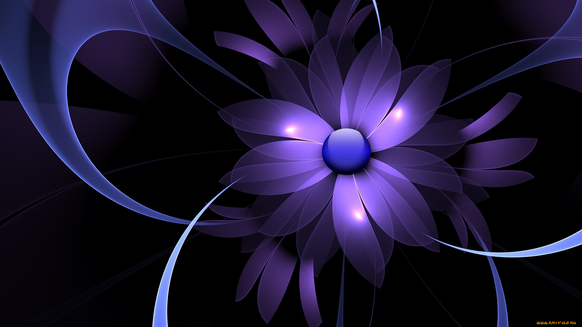 3д, графика, цветы, , flowers, цвета, фон, узор