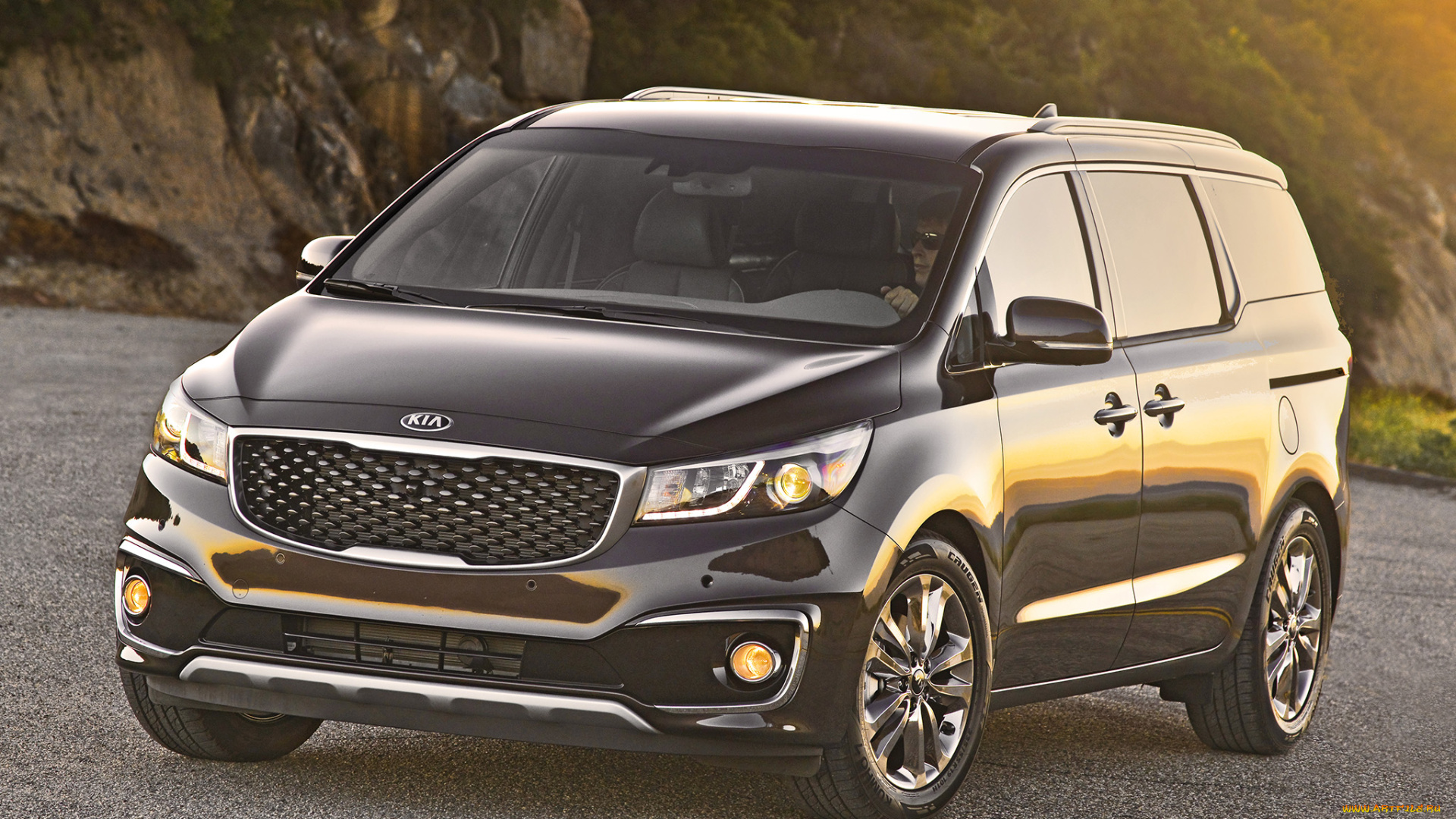 автомобили, kia, 2015г, sedona, sxl, темный