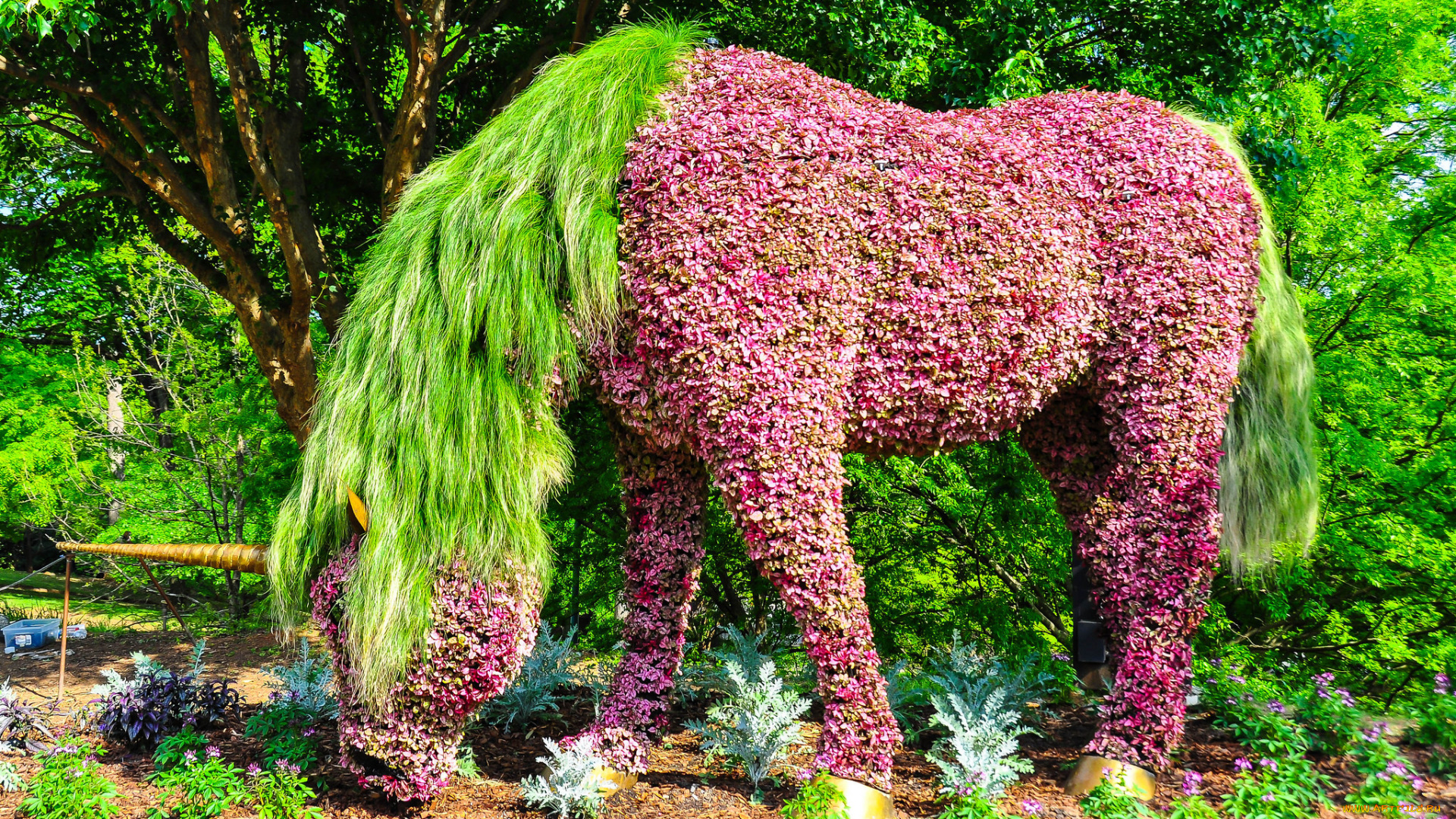 города, -, памятники, , скульптуры, , арт-объекты, лошадь, цветы, клумба