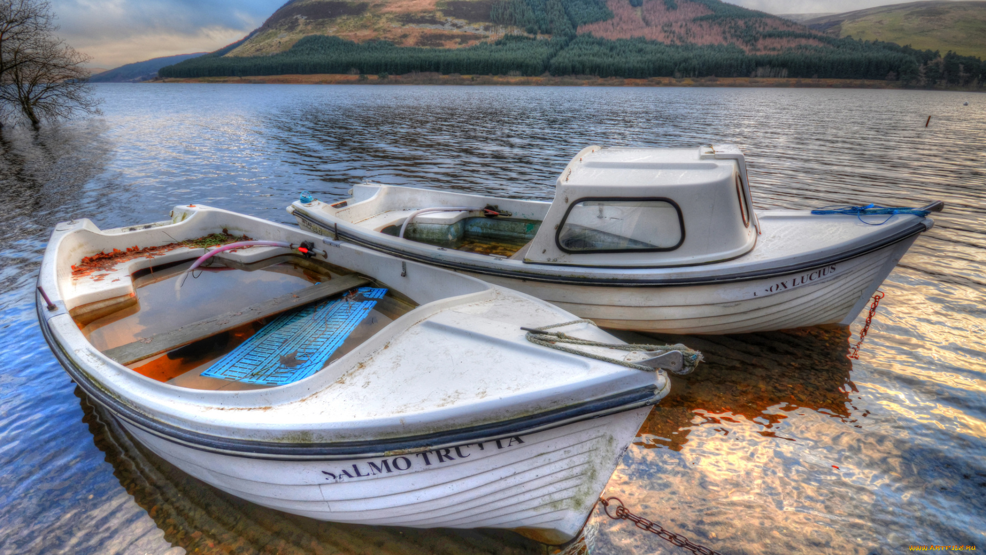 корабли, разные, вместе, шлюпка, катер