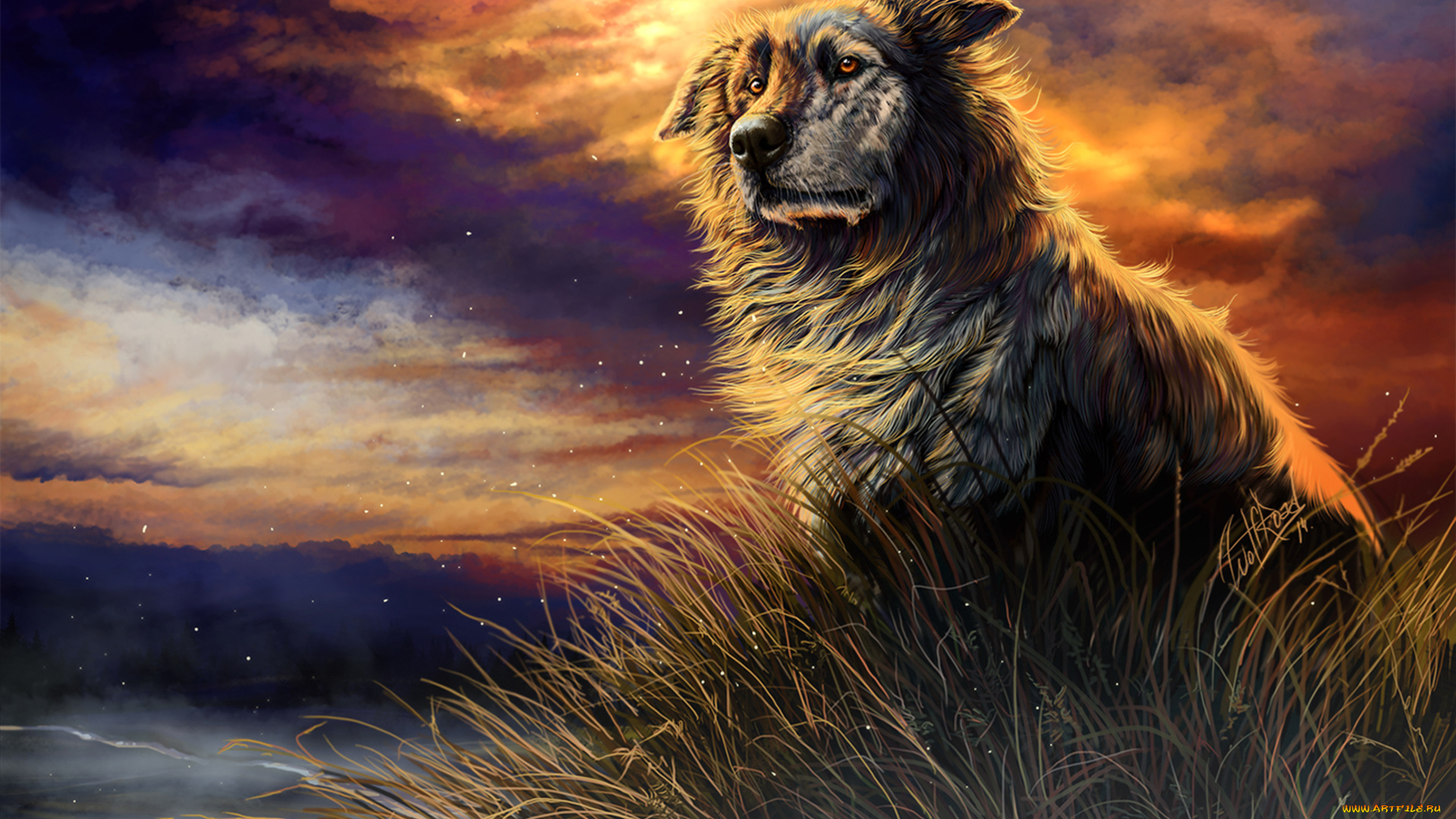 рисованные, животные, , собаки, облака, трава, закат, собака, wolfroad