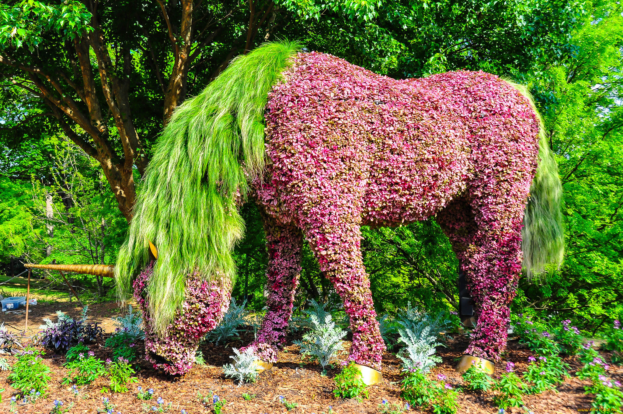 города, -, памятники, , скульптуры, , арт-объекты, лошадь, цветы, клумба