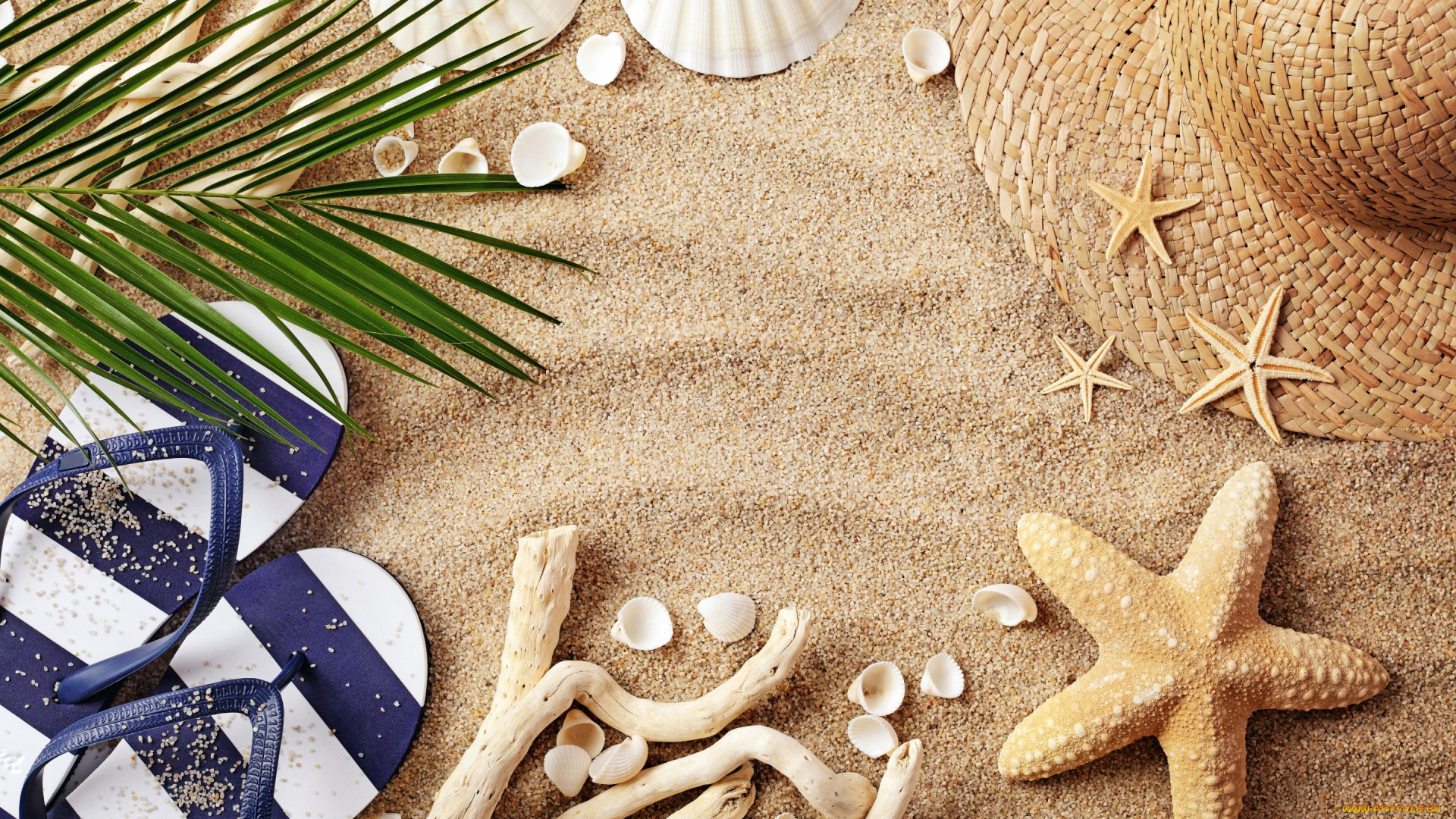 разное, одежда, , обувь, , текстиль, , экипировка, лето, starfish, seashells, пляж, sand, accessories, beach, summer, vacation, ракушки, очки, шляпа, песок