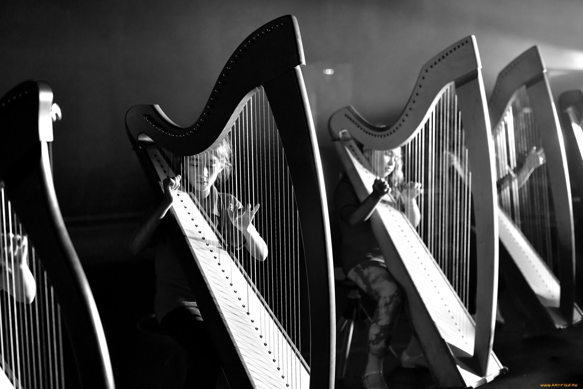 музыка, -, другое, арфы, девочки, инструменты