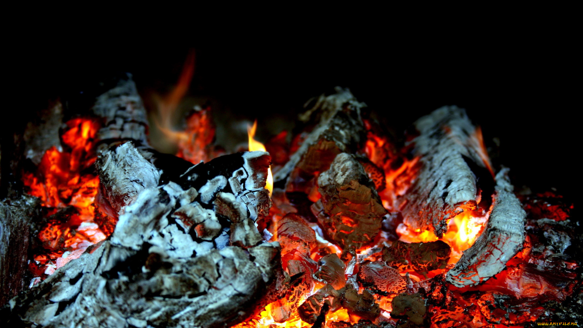 природа, огонь, костер, остывающий