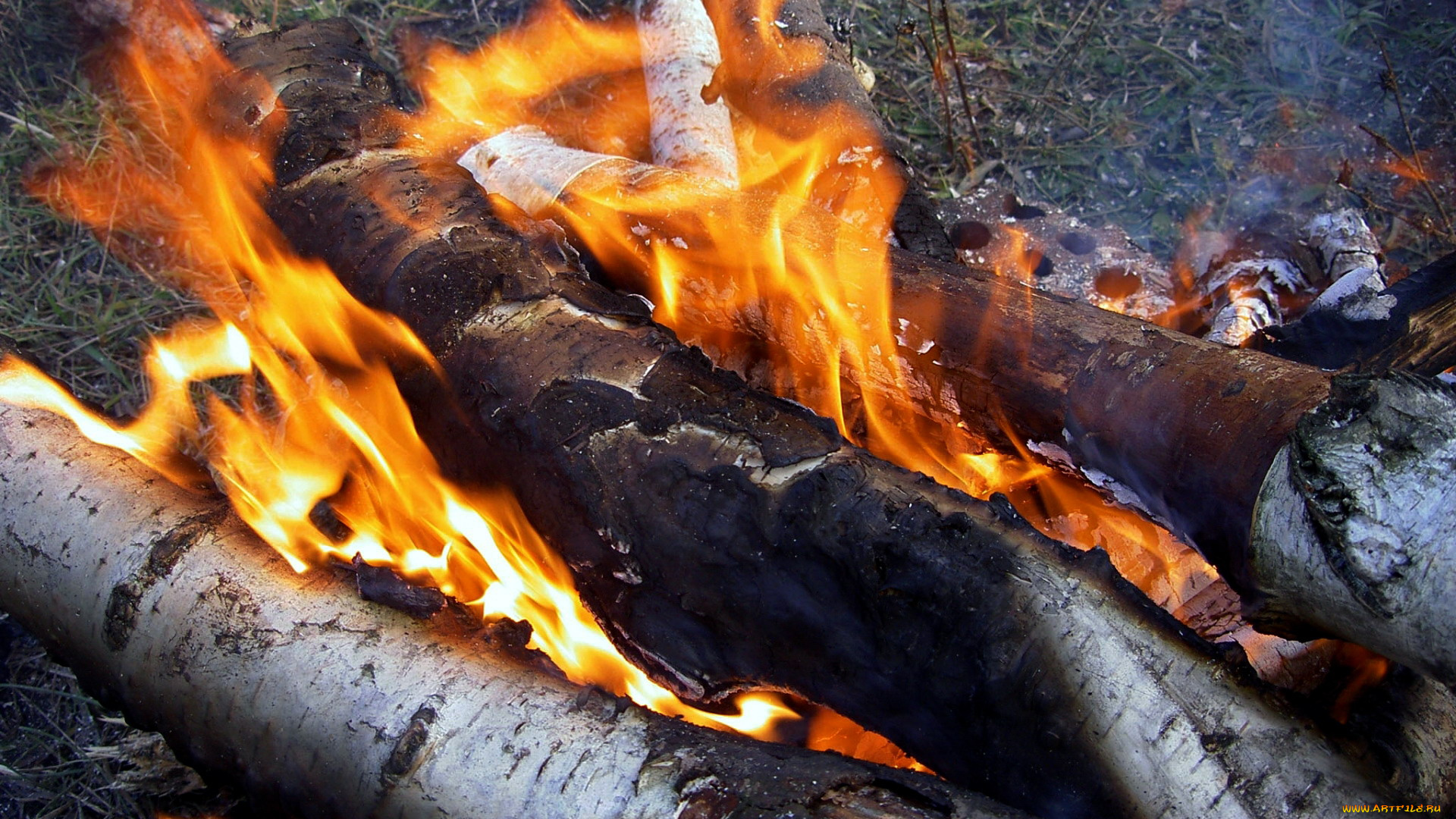 природа, огонь, пламя, бревна, костер