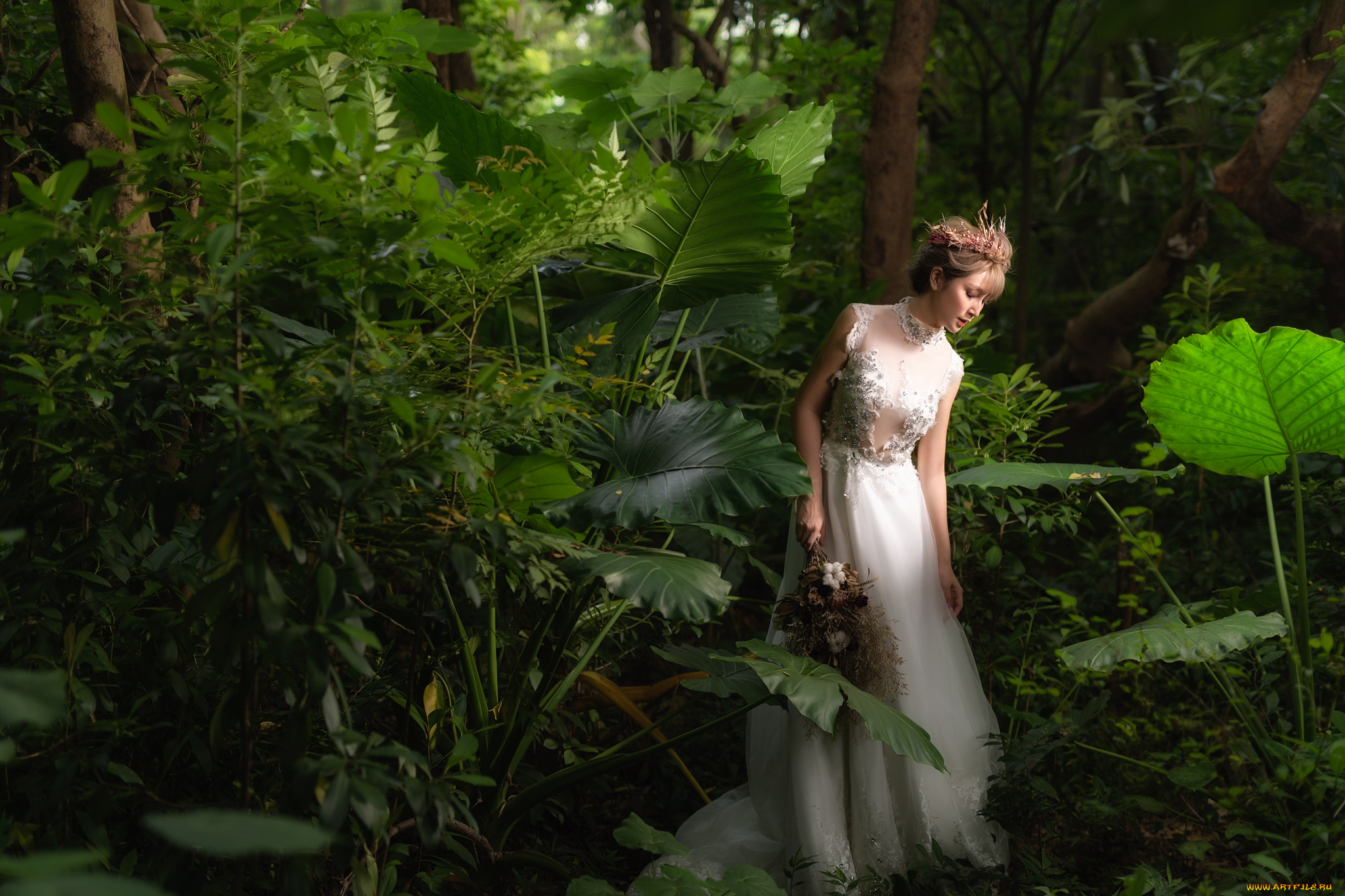 девушки, -unsort, , азиатки, лес, прогулка, платье, лицо, азиатка