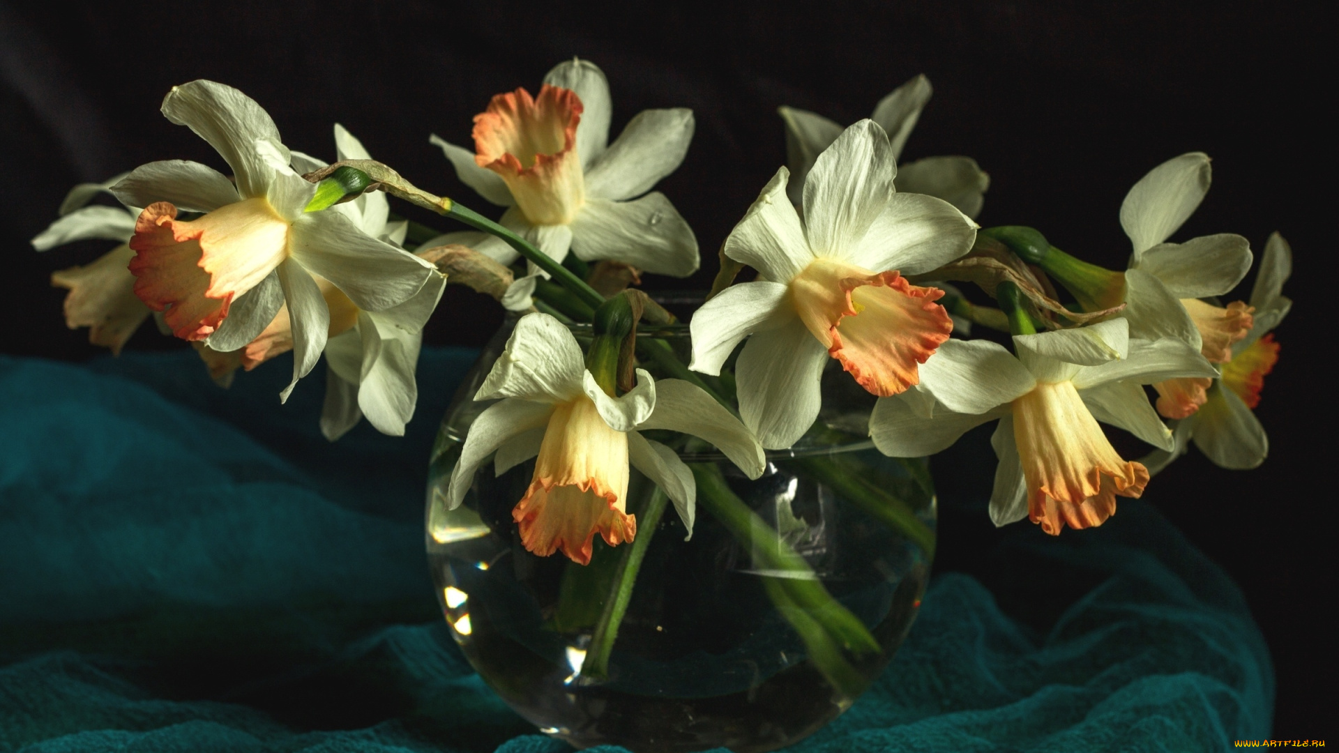 цветы, нарциссы, ваза, ткань, картина