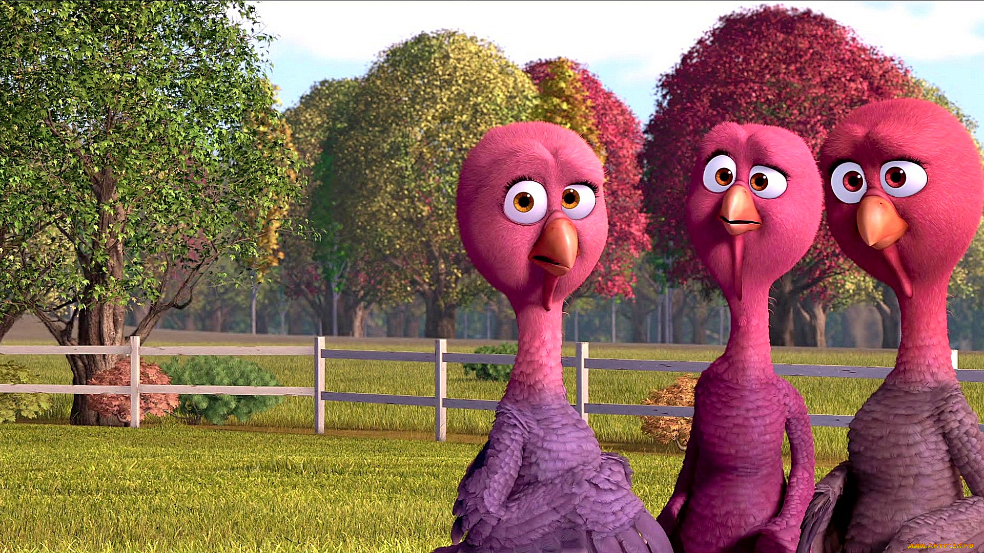 мультфильмы, free, birds, забор, трое, индюшка, растения, деревья