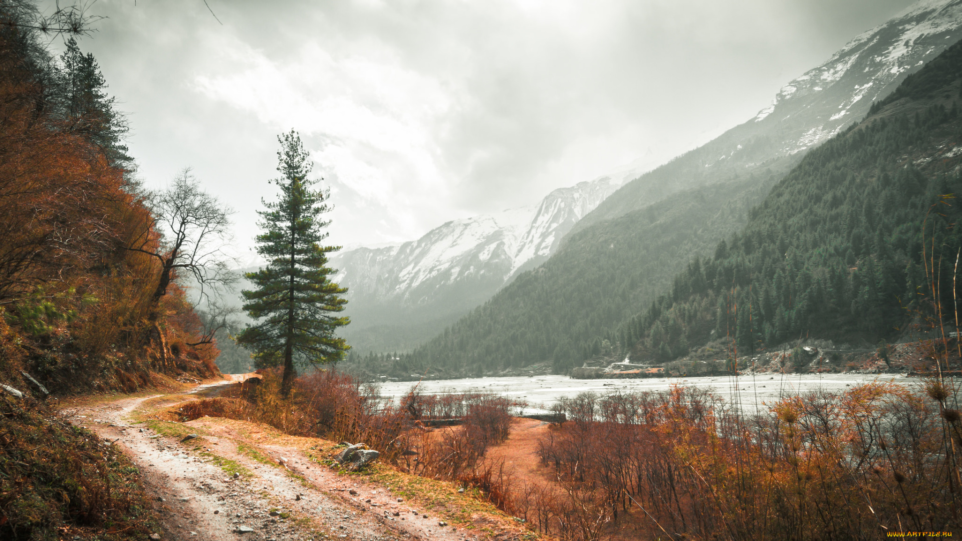 природа, дороги, простор