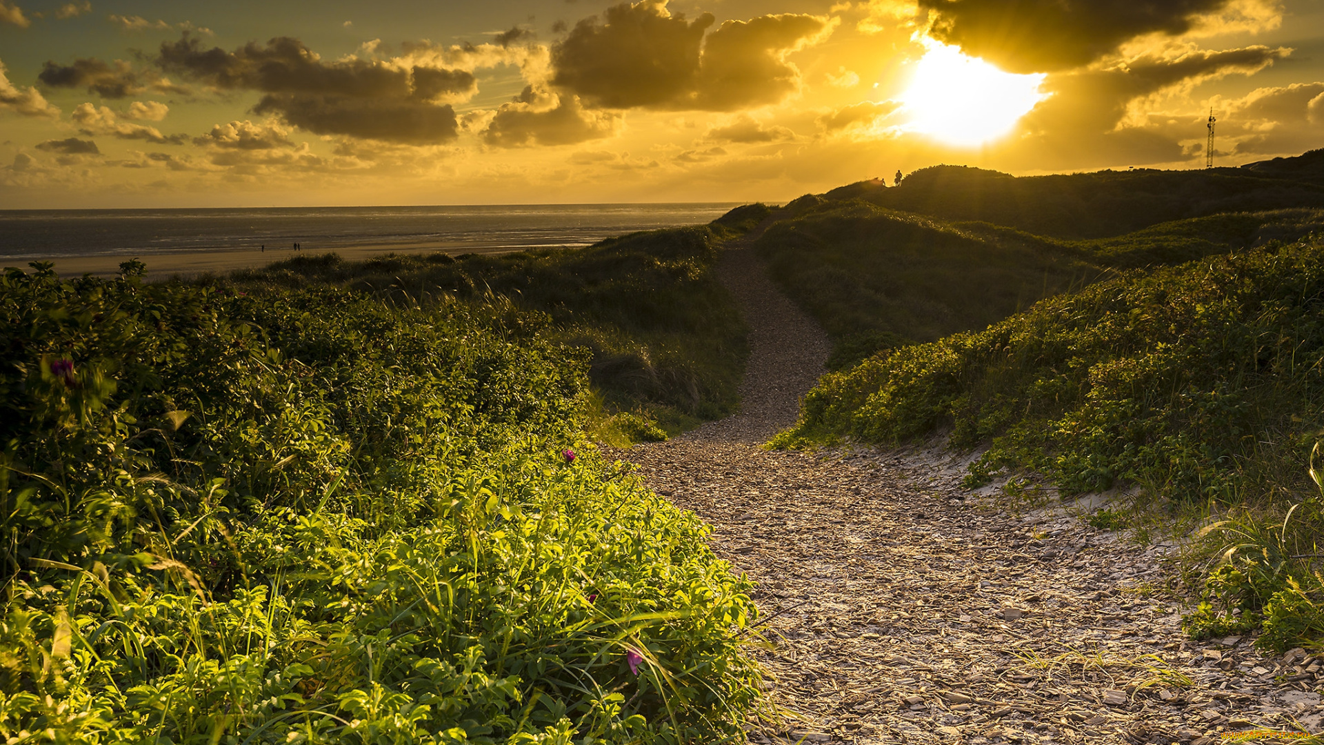 природа, дороги, простор