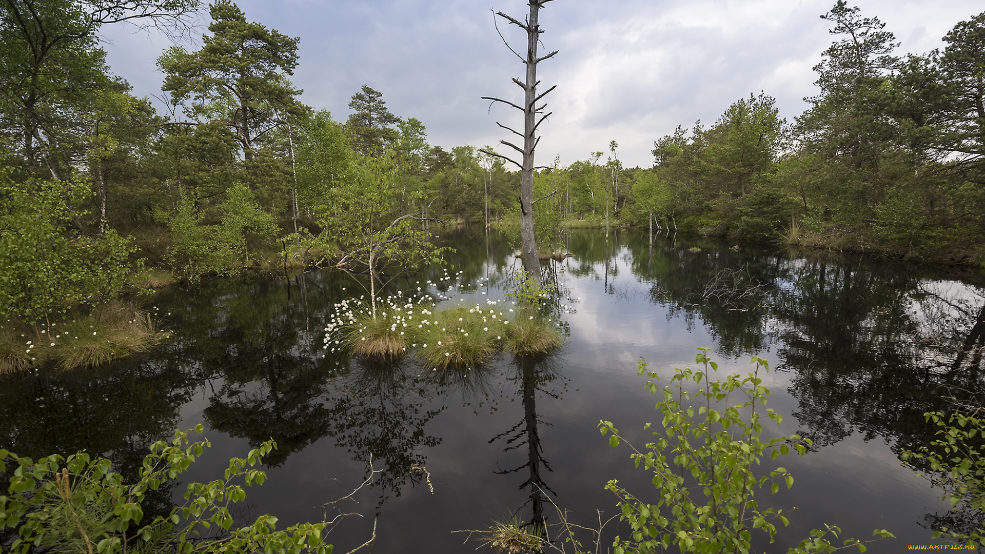 природа, реки, озера, простор