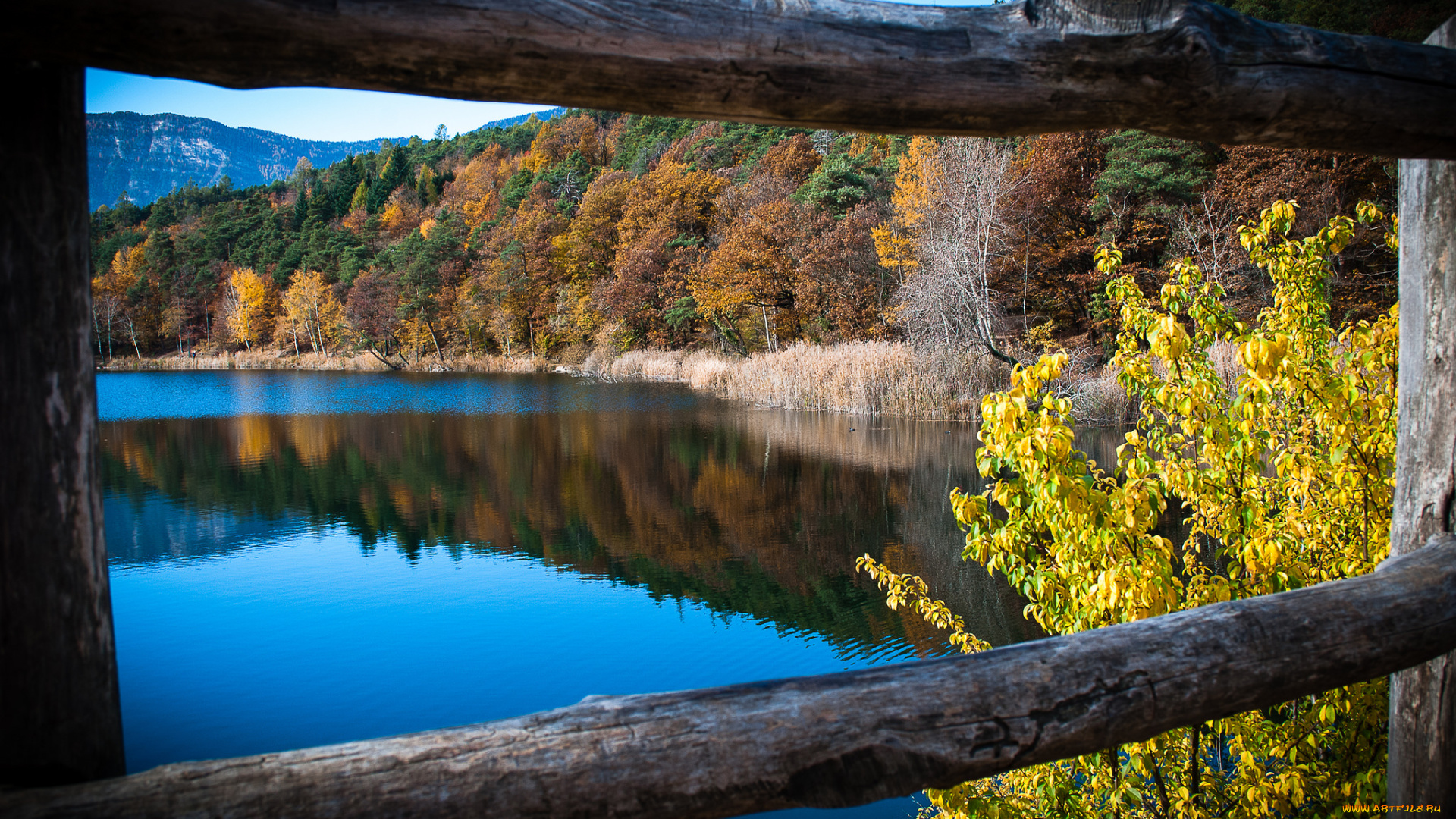 природа, реки, озера, простор