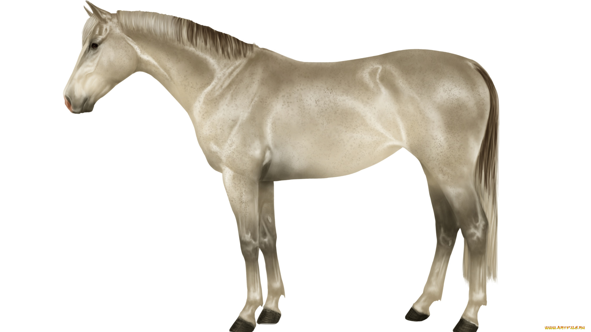 рисованное, животные, , лошади, лошадь, фон