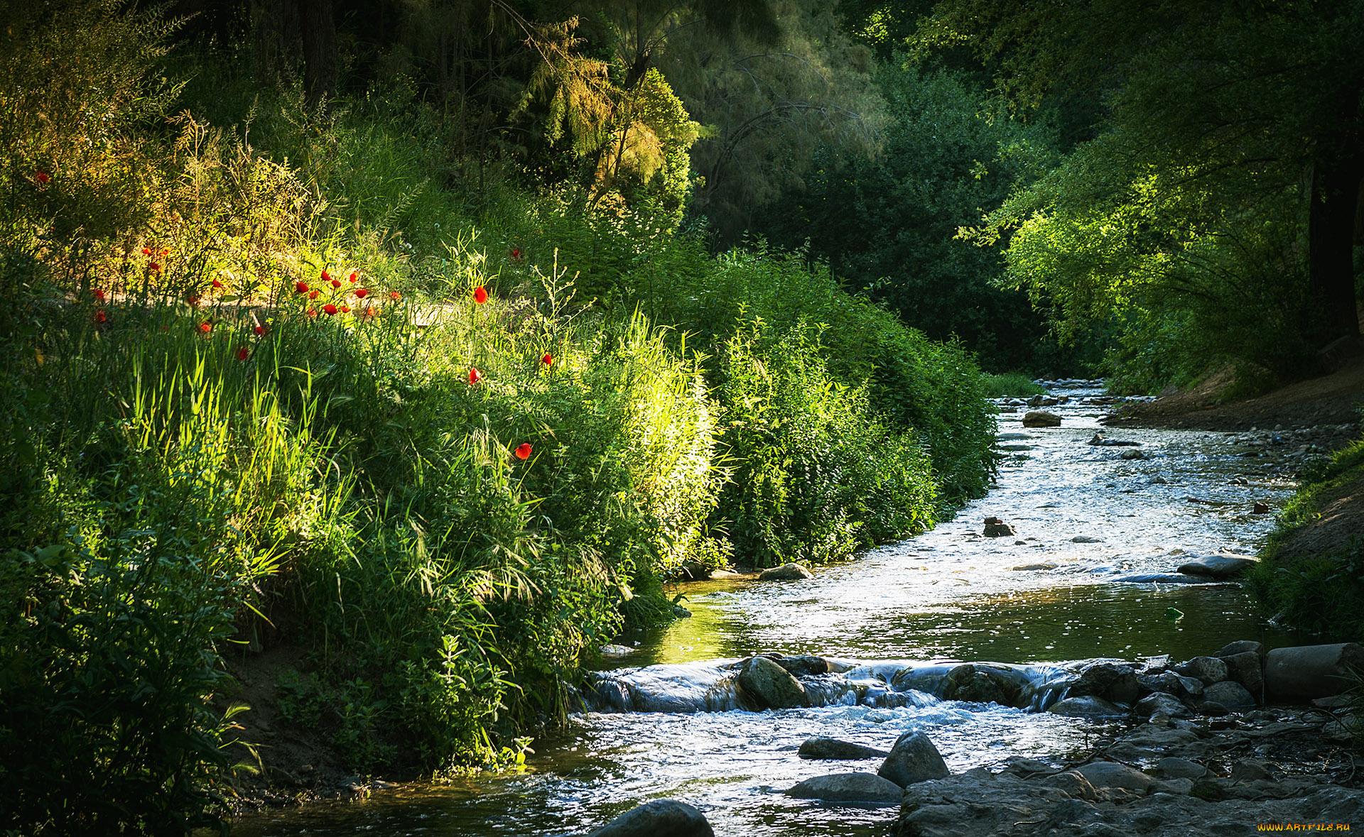 природа, реки, озера, простор
