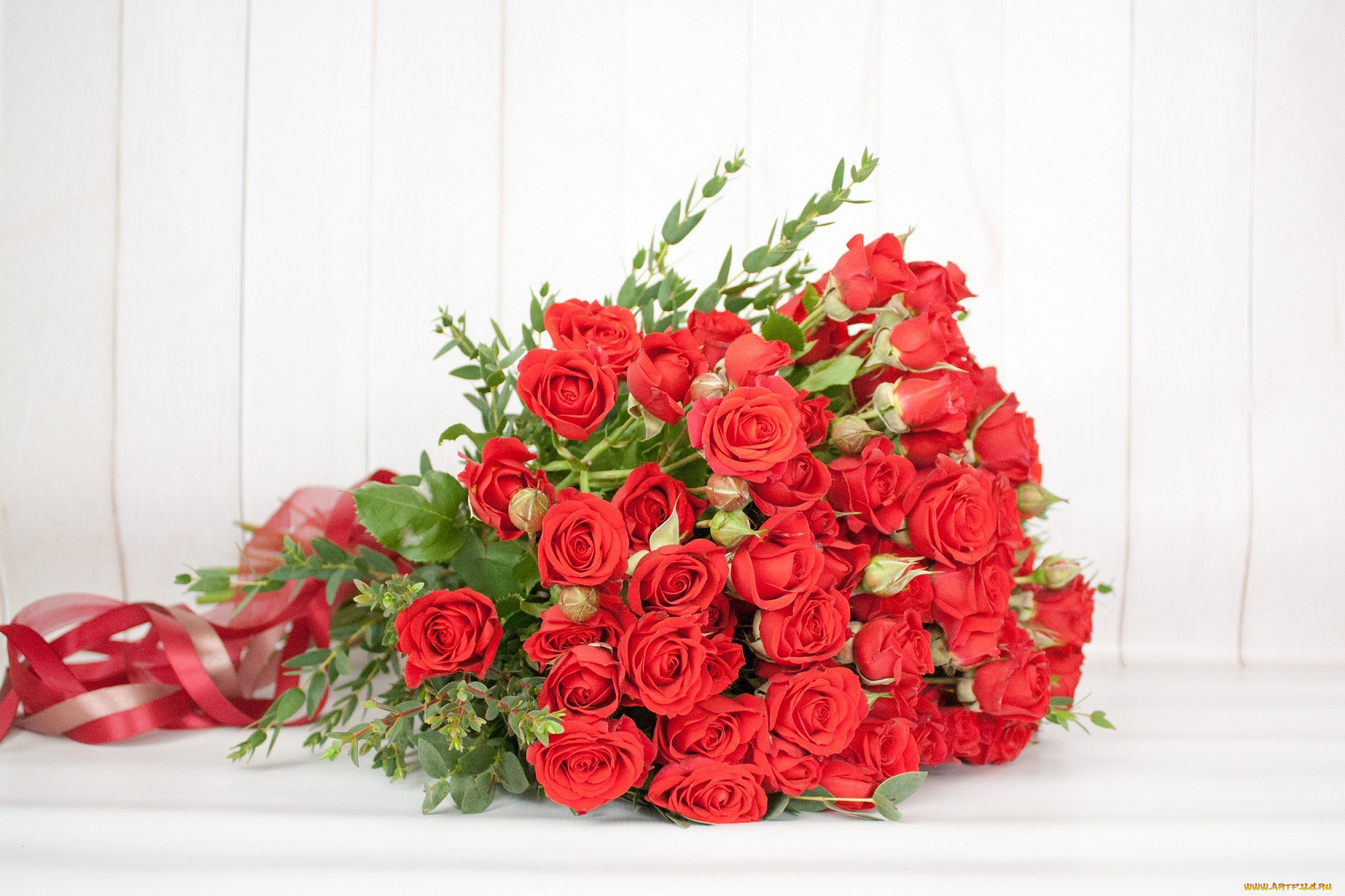 цветы, розы, зелень, букет, лента