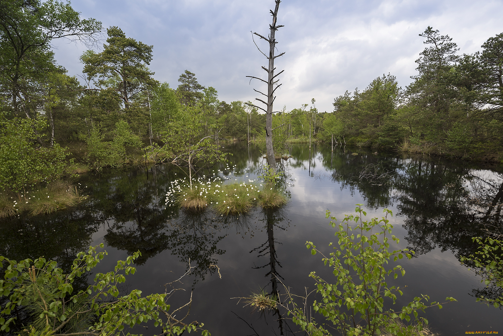 природа, реки, озера, простор