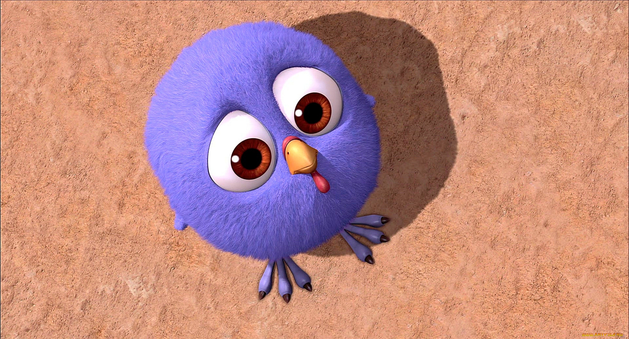 мультфильмы, free, birds, птенец, взгляд