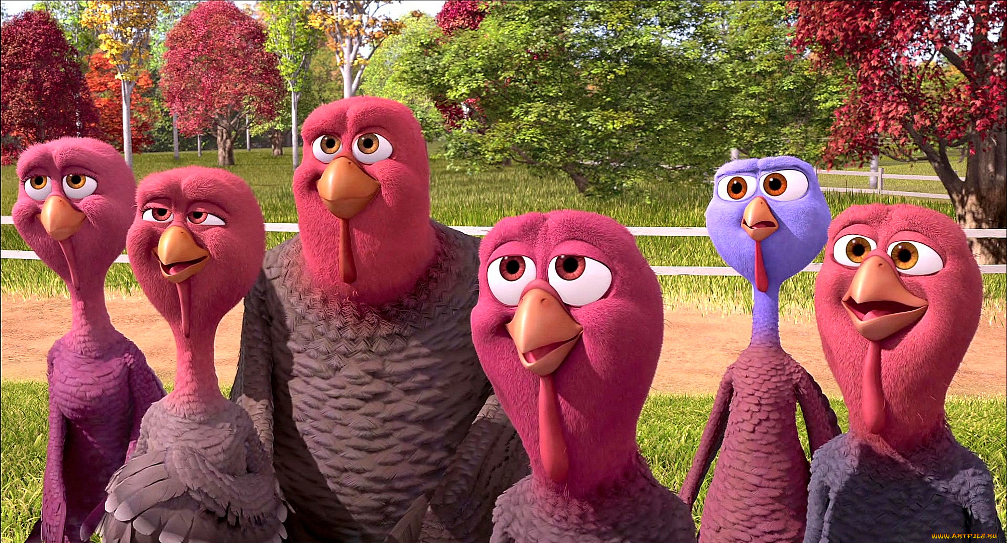 мультфильмы, free, birds, взгляд, индюк, деревья