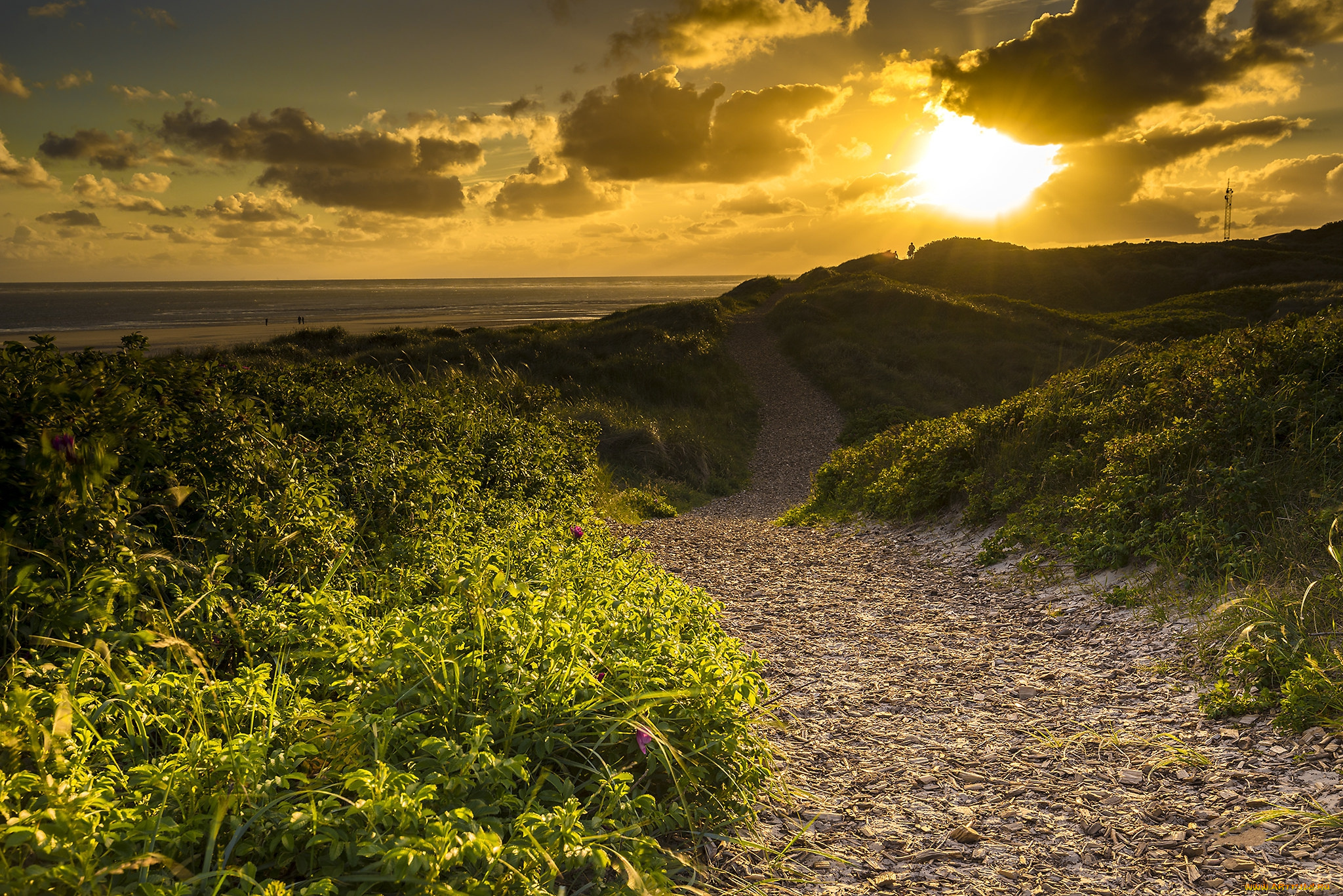 природа, дороги, простор