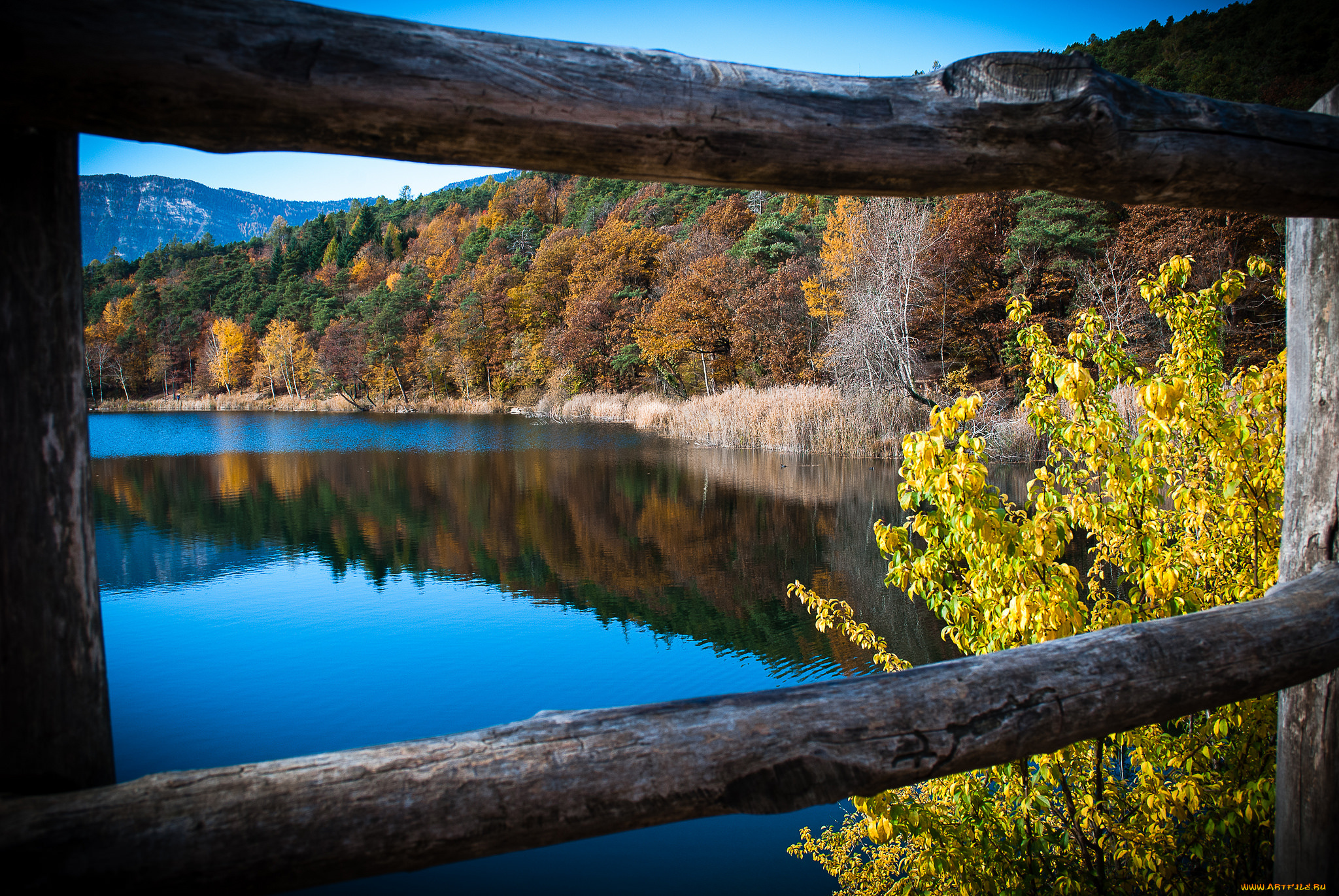 природа, реки, озера, простор