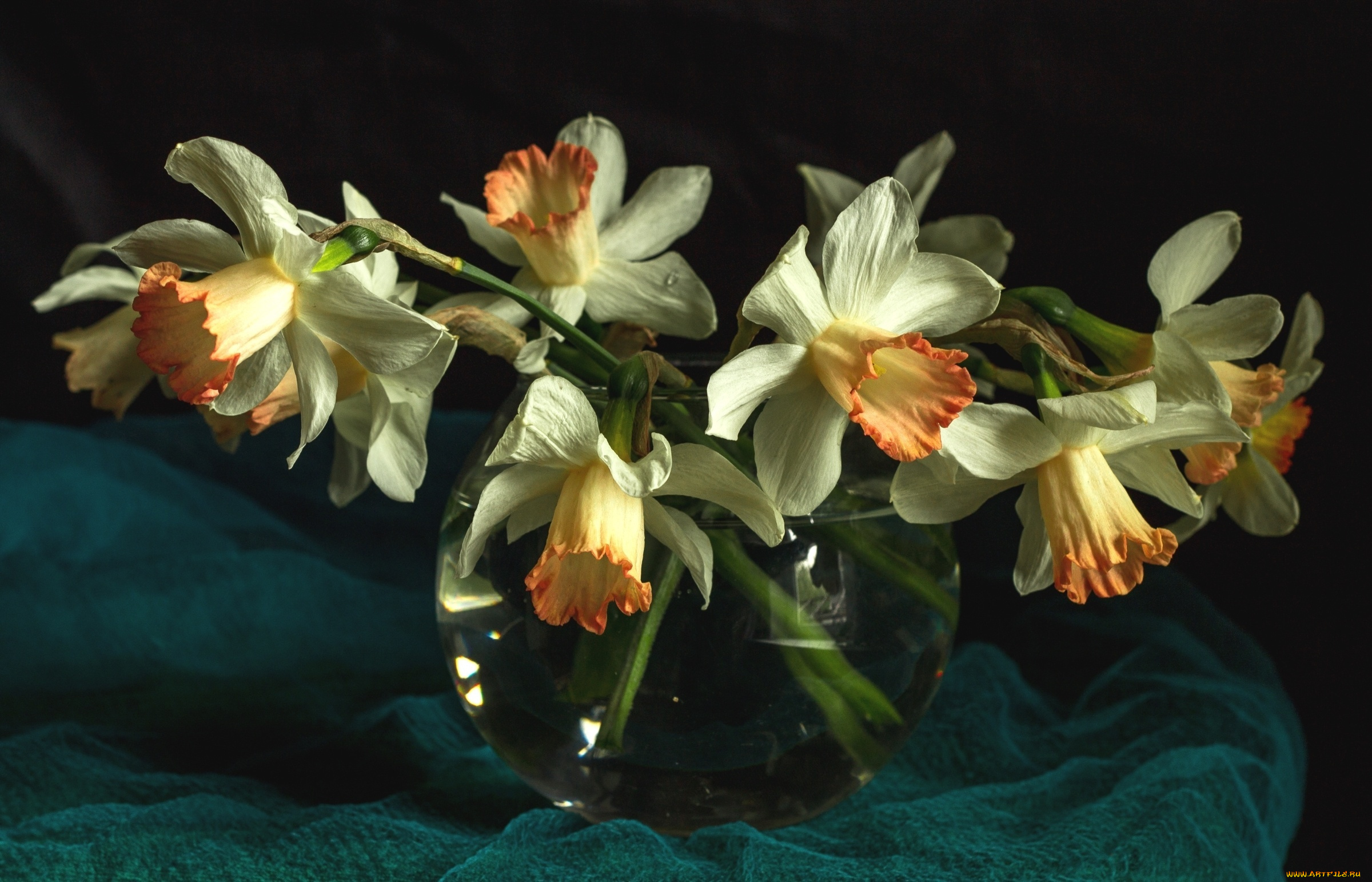 цветы, нарциссы, ваза, ткань, картина