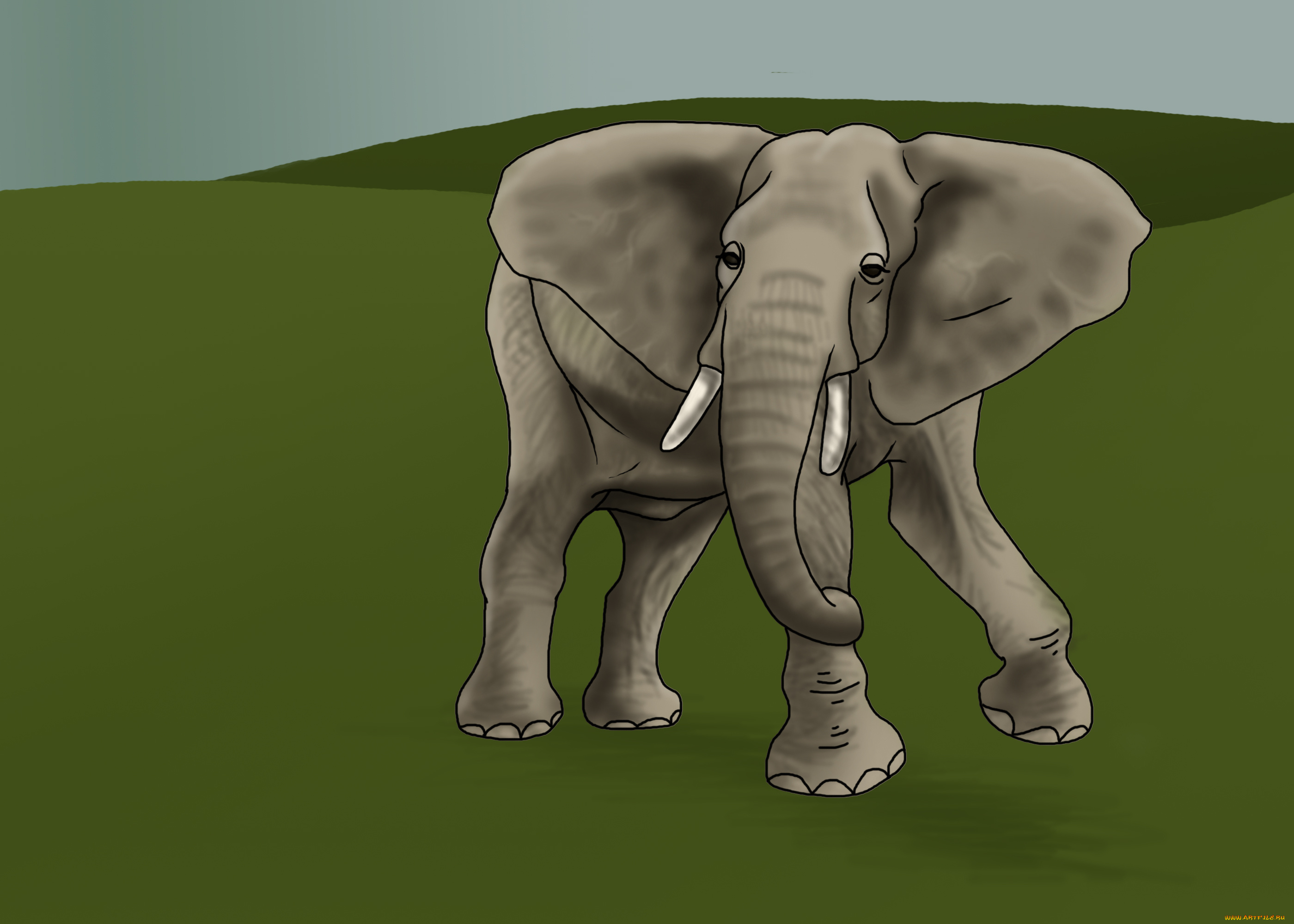 рисованное, животные, , слоны, фон, слон