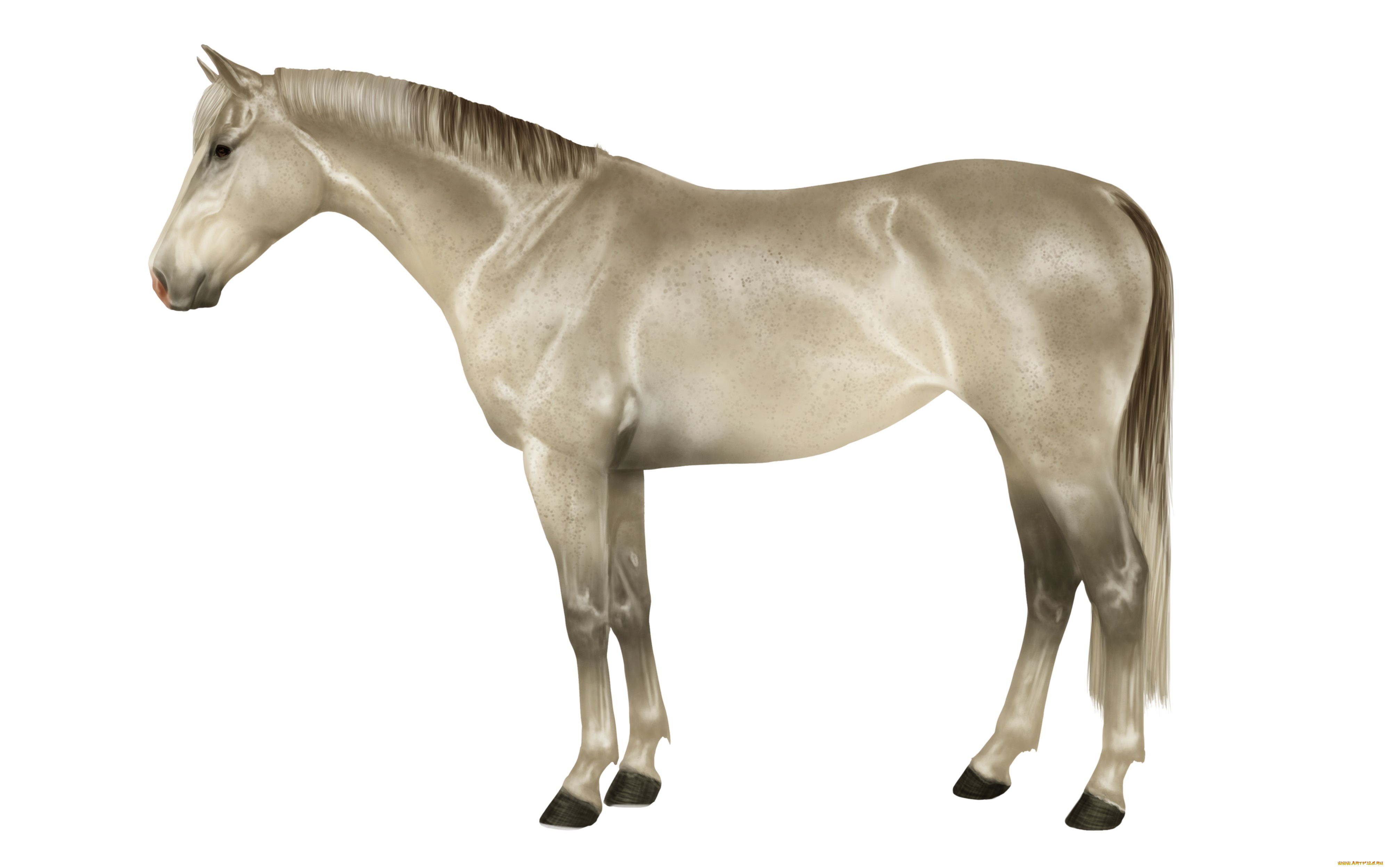 рисованное, животные, , лошади, лошадь, фон