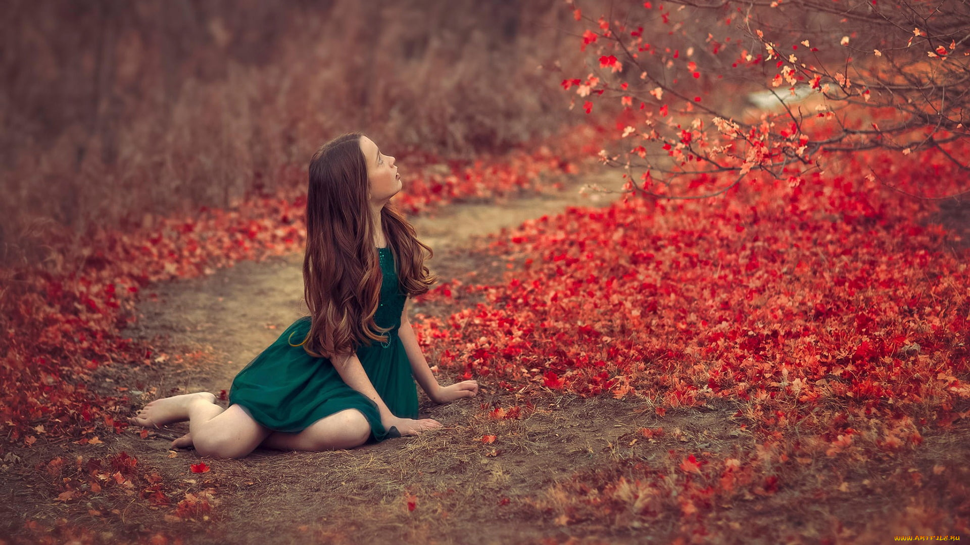 девушки, -, брюнетки, , шатенки, красивая, девушка