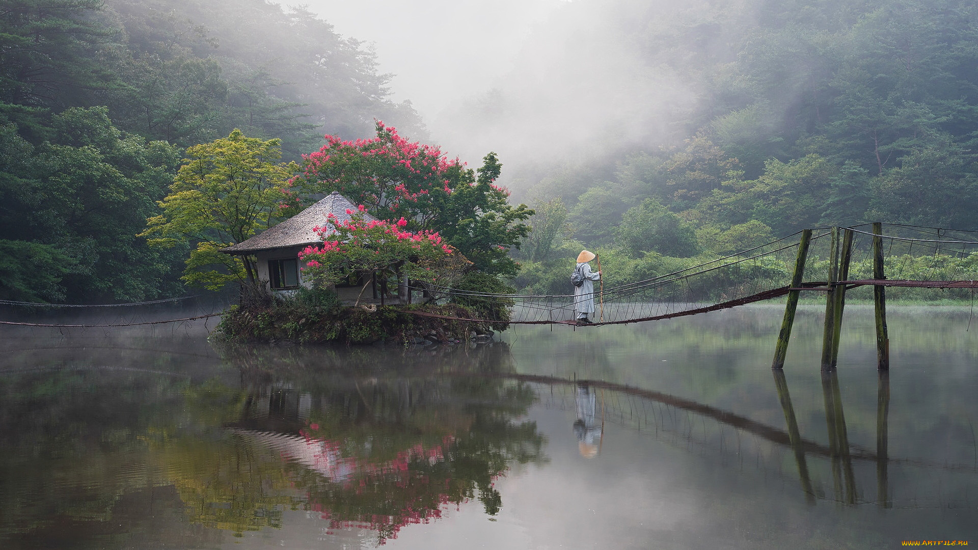 города, -, здания, , дома, озеро, хижина, мостик, цветы, туман