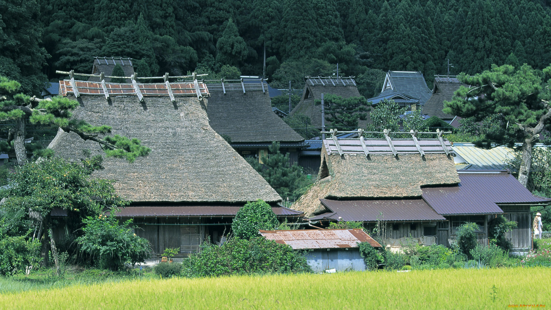 города, -, здания, , дома, дома, селение