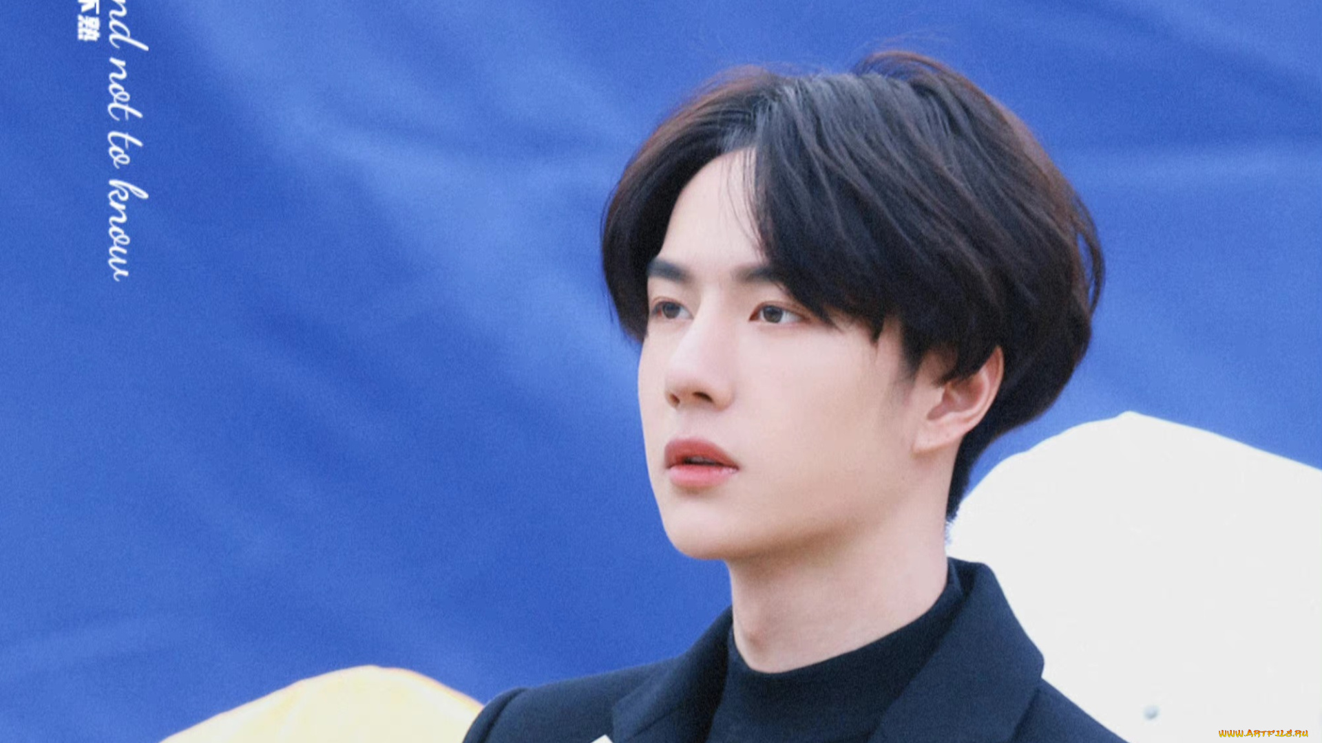 мужчины, wang, yi, bo, ван, ибо