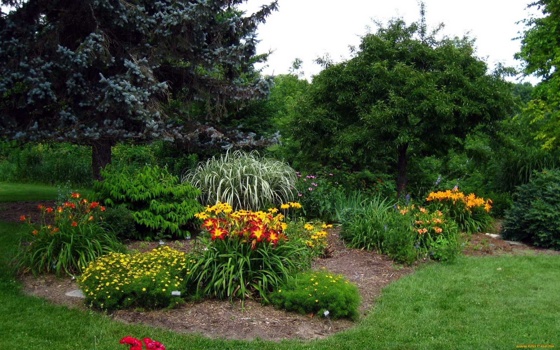 природа, парк, деревья, клумба, цветы