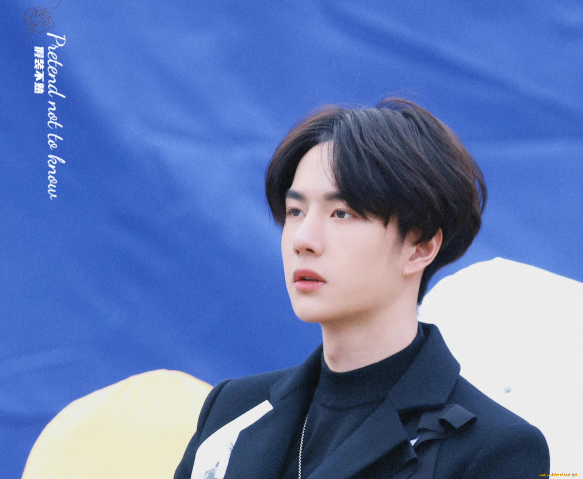 мужчины, wang, yi, bo, ван, ибо