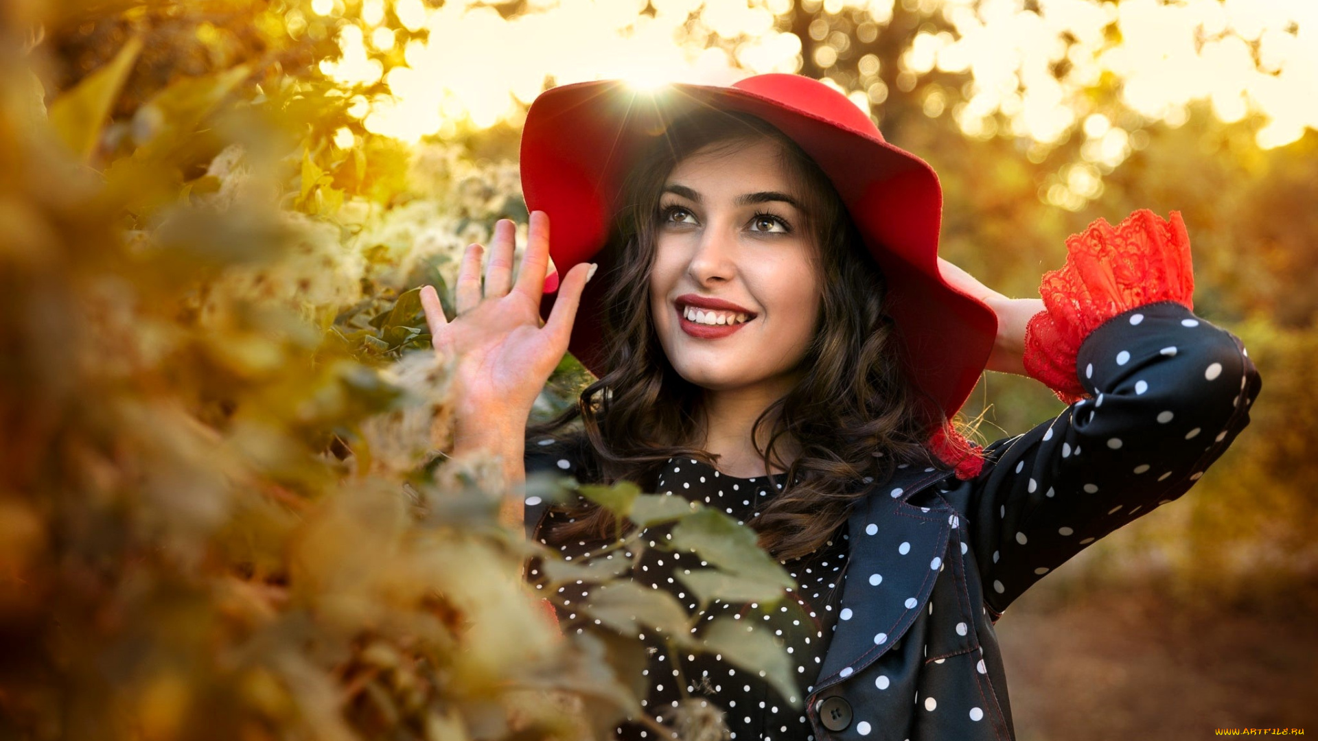 девушки, -, брюнетки, , шатенки, шатенка, шляпа, плащ, осень, деревья