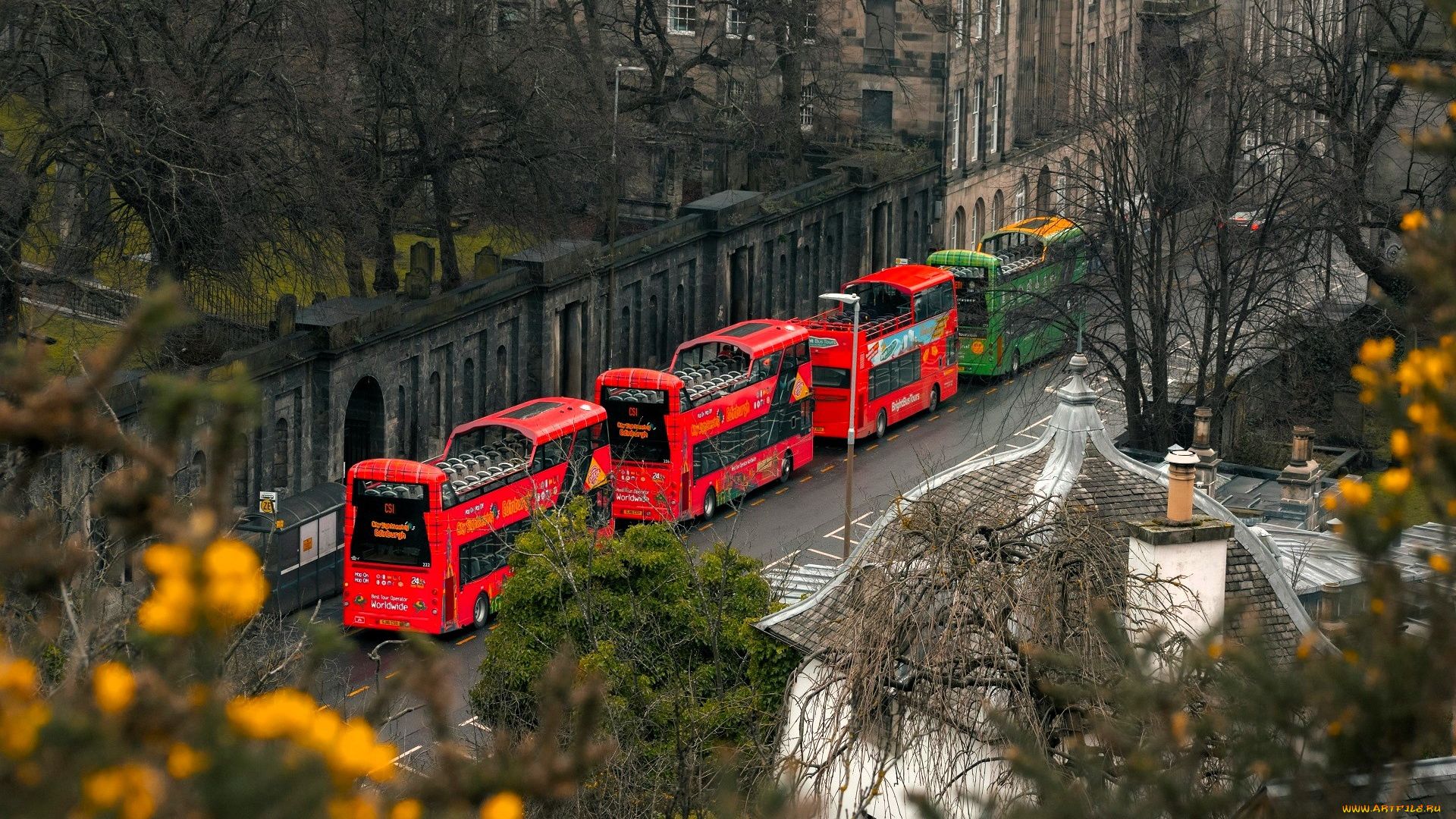 города, эдинбург, , шотландия, дома, деревья, забор, ветки, улица, дорога, автобусы, транспорт