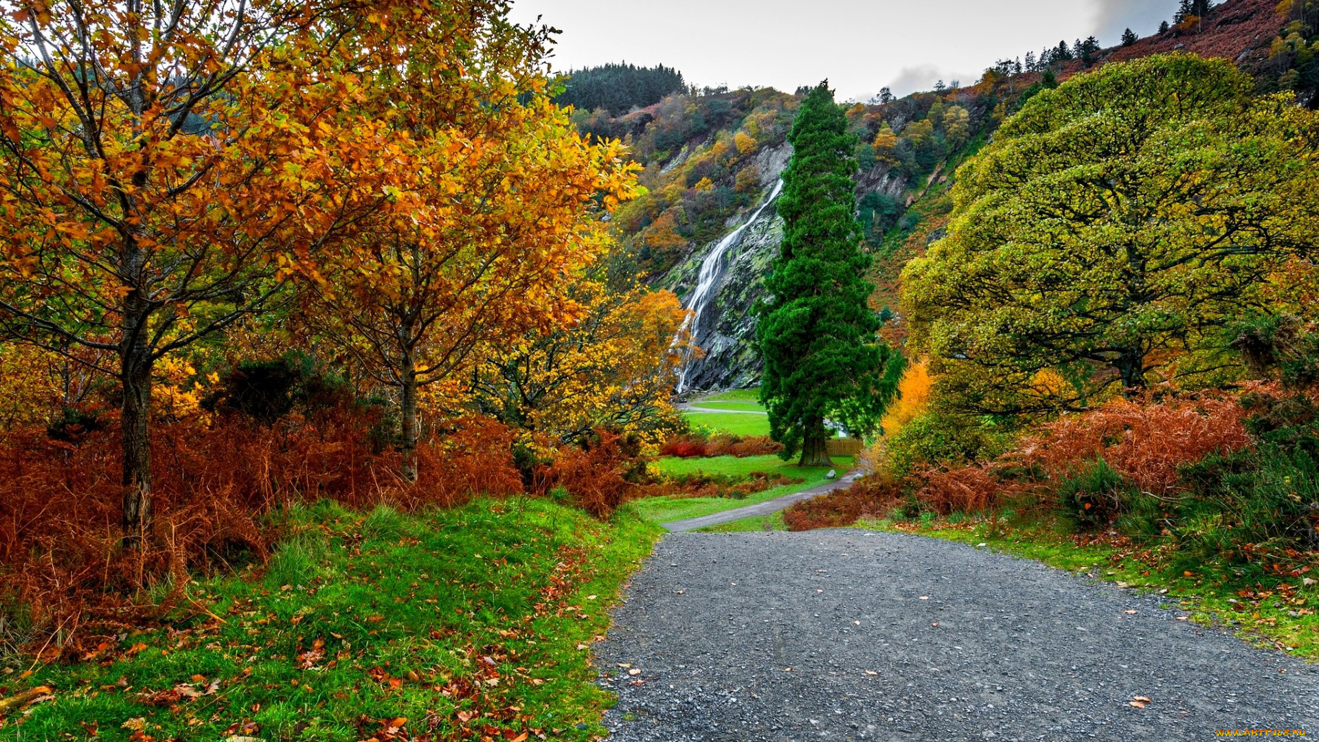 природа, водопады, горы, водопад, лес, осень, дорога