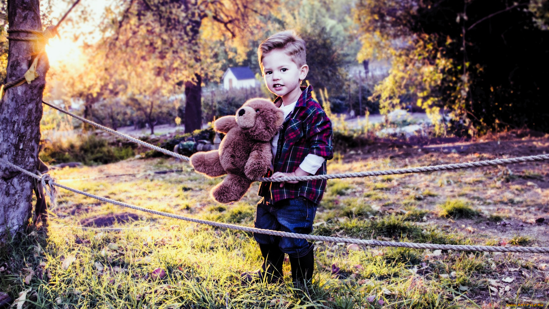 разное, дети, мальчик, рубашка, мишка, веревки, деревья