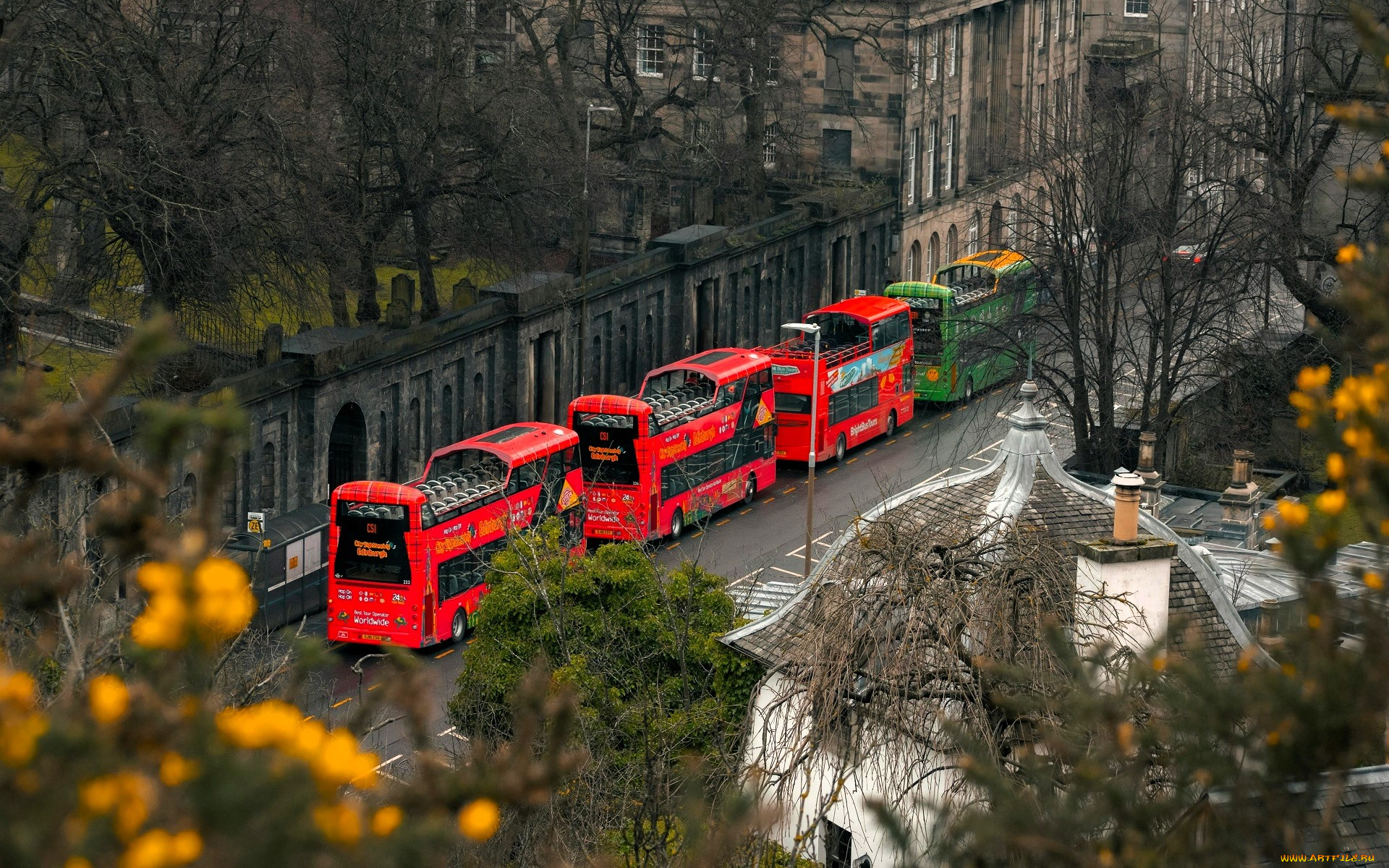 города, эдинбург, , шотландия, дома, деревья, забор, ветки, улица, дорога, автобусы, транспорт