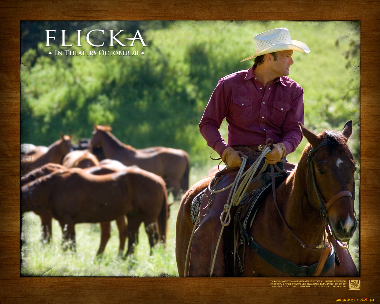 flicka, кино, фильмы