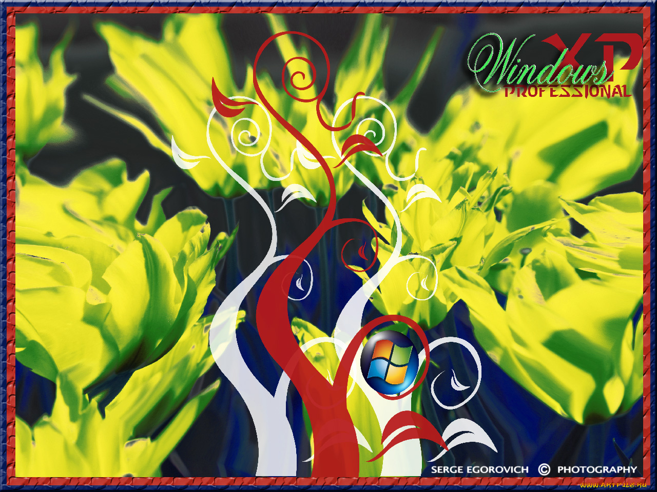 windows13, компьютеры, windows, xp