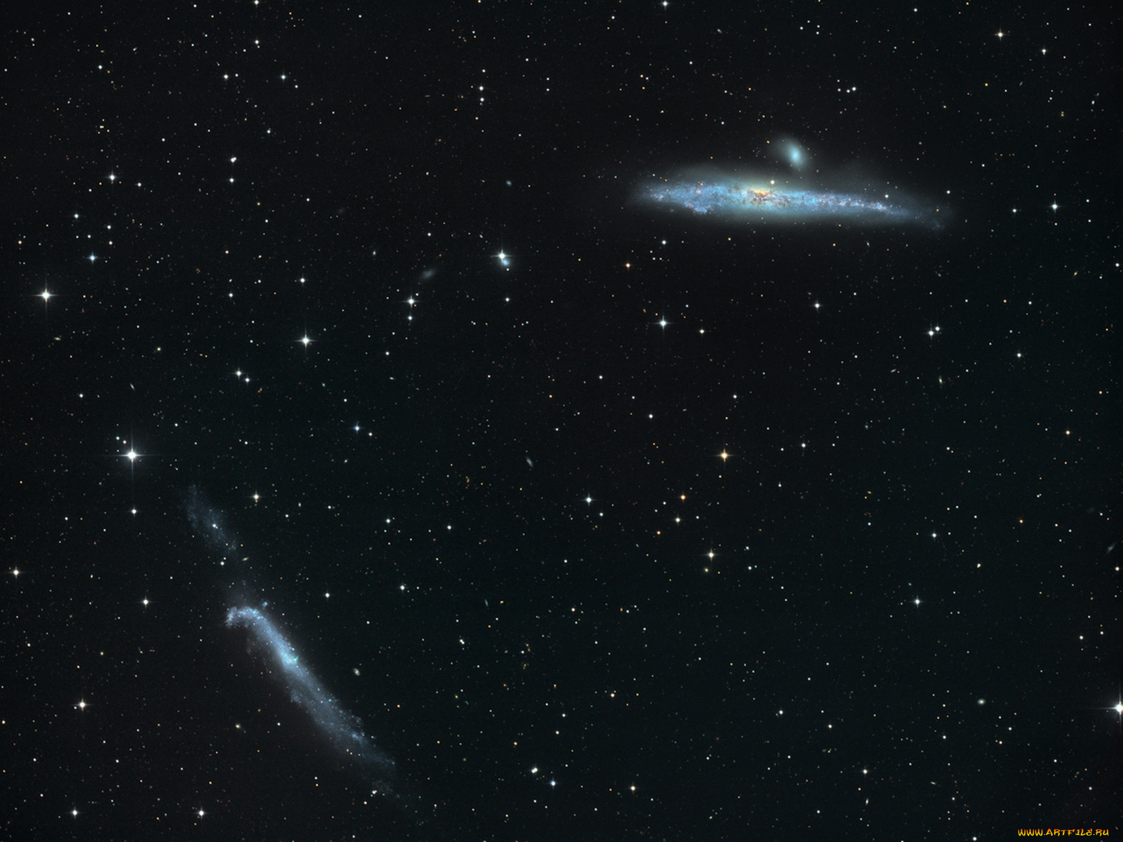 ngc4631, ngc4656, космос, галактики, туманности