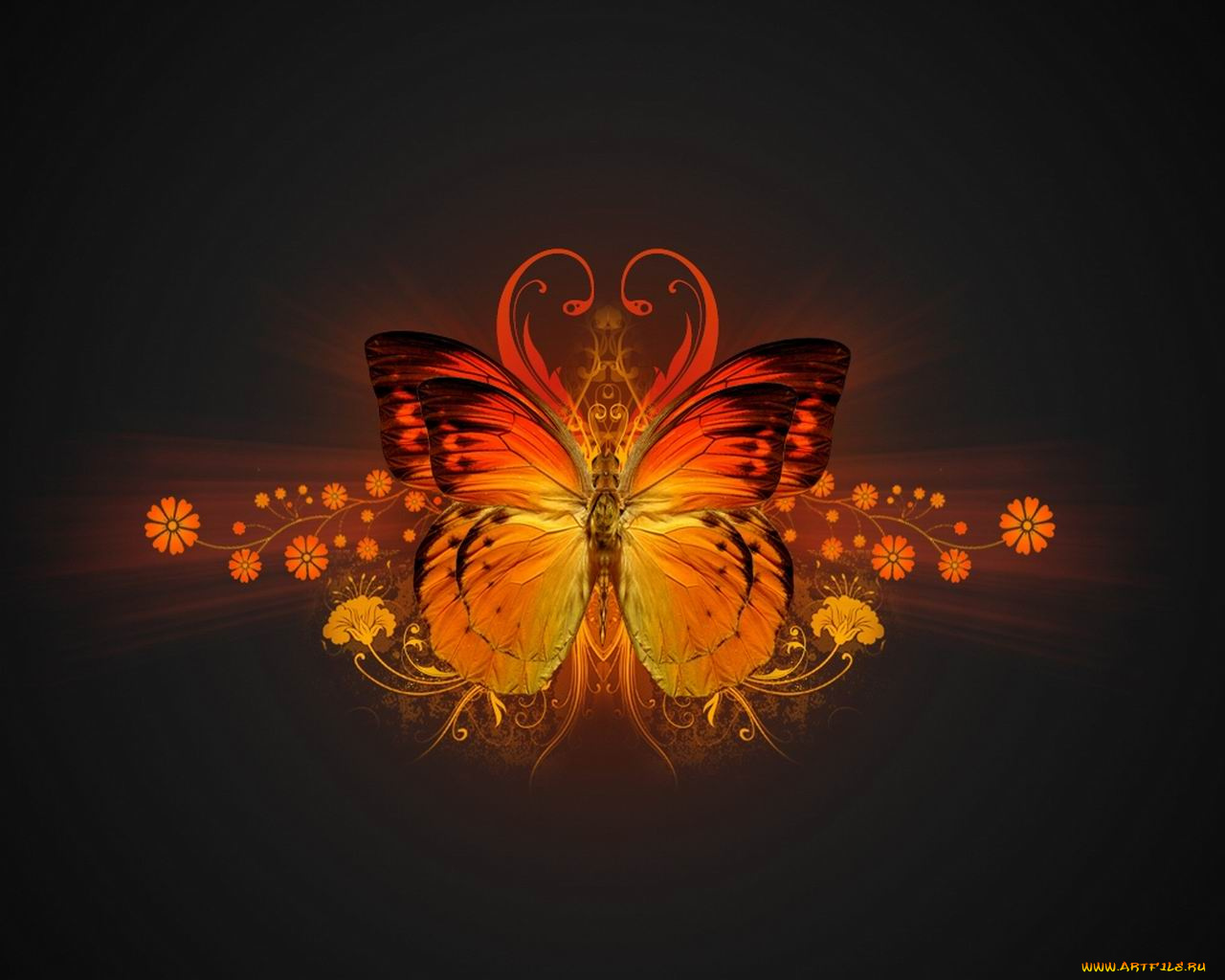 разное, компьютерный, дизайн