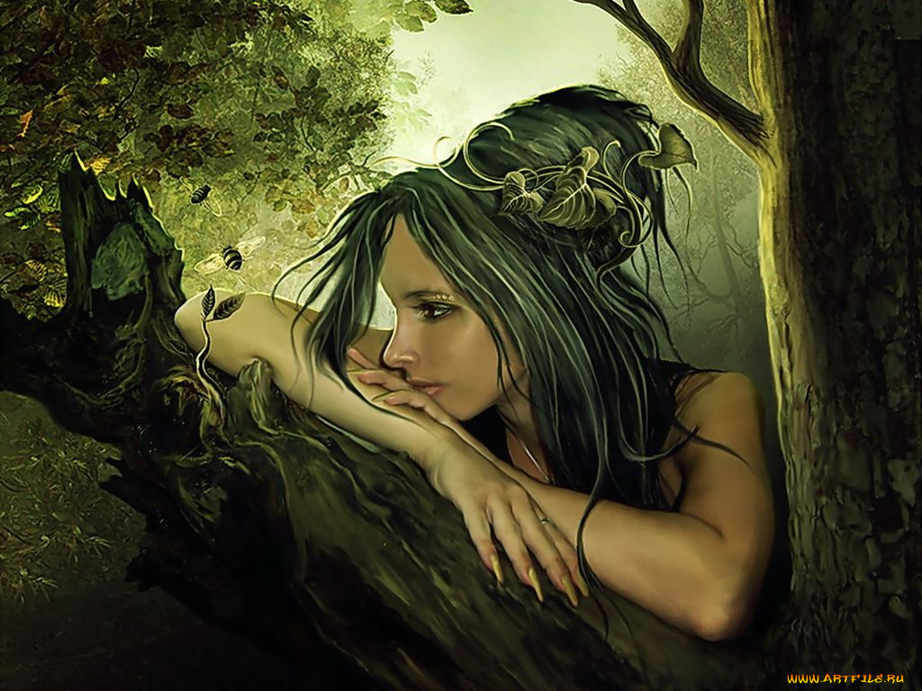 фэнтези, эльфы