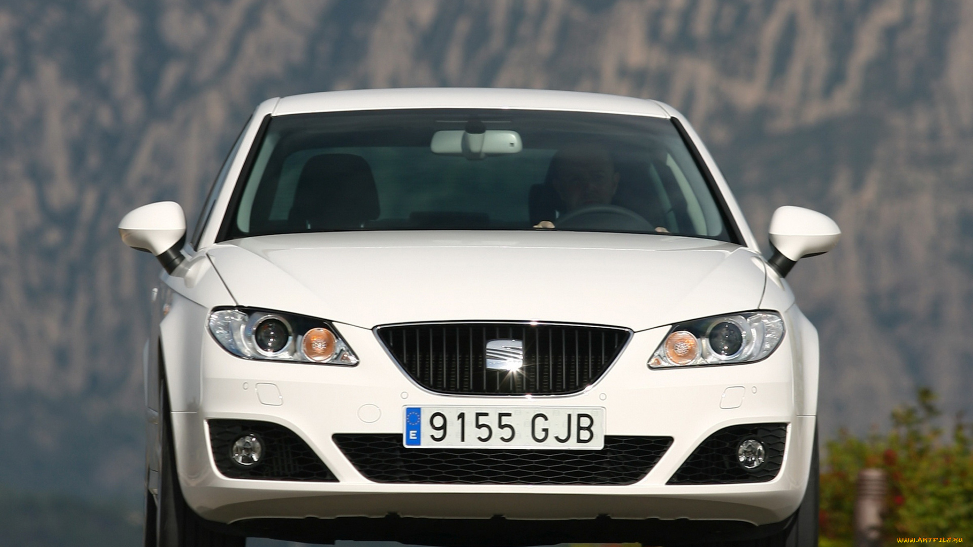 автомобили, seat