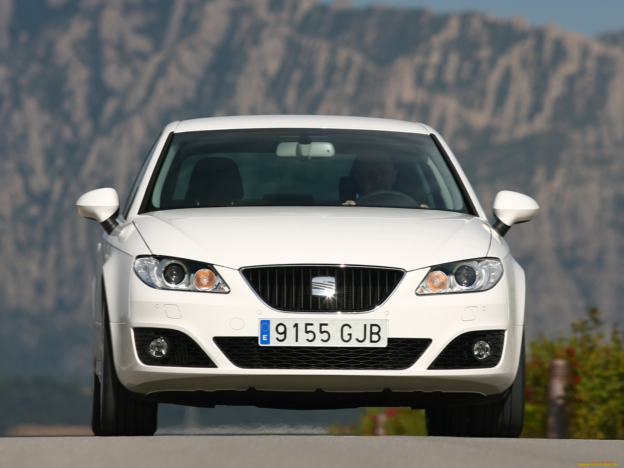 автомобили, seat