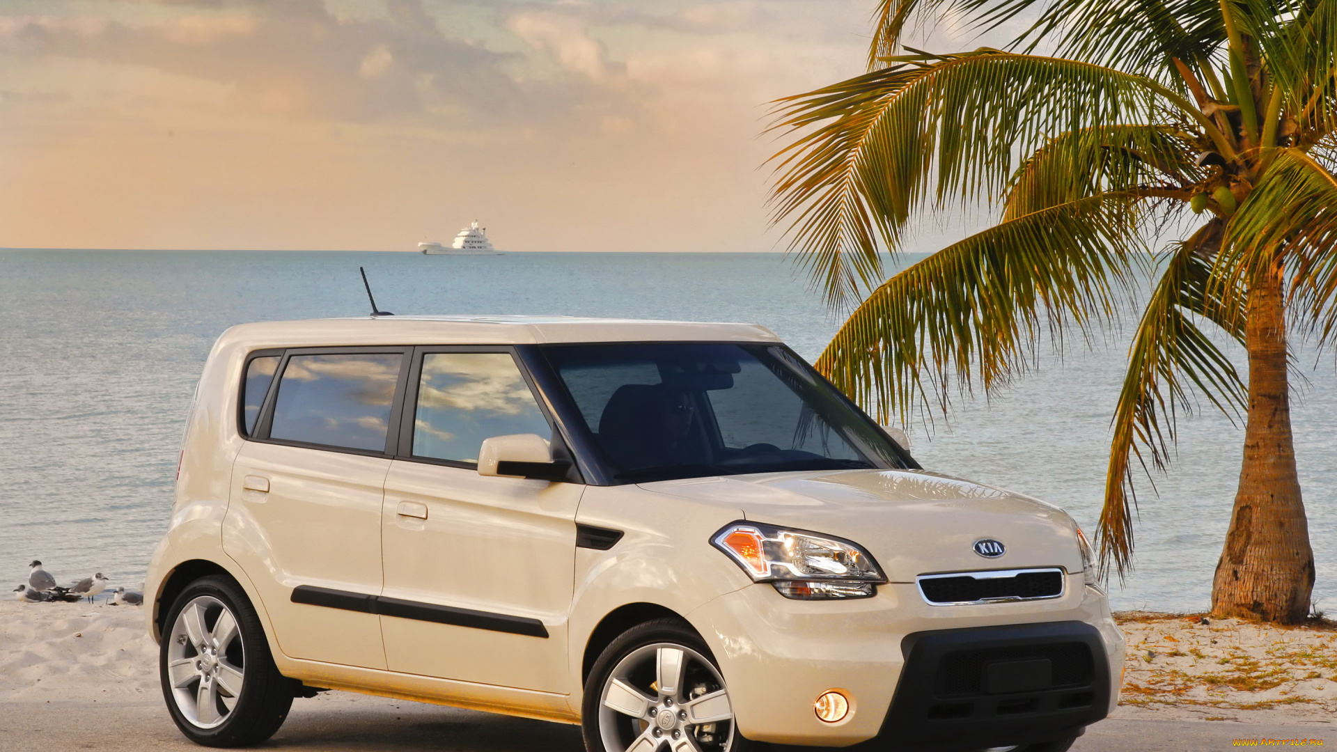 2013, kia, soul, автомобили, побережье