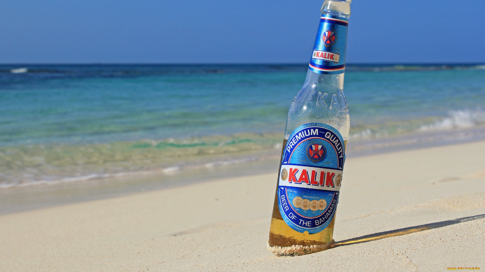 пиво, бренды, напитков, разное, тигр