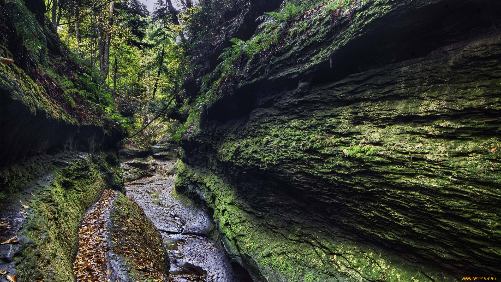 природа, другое, камни